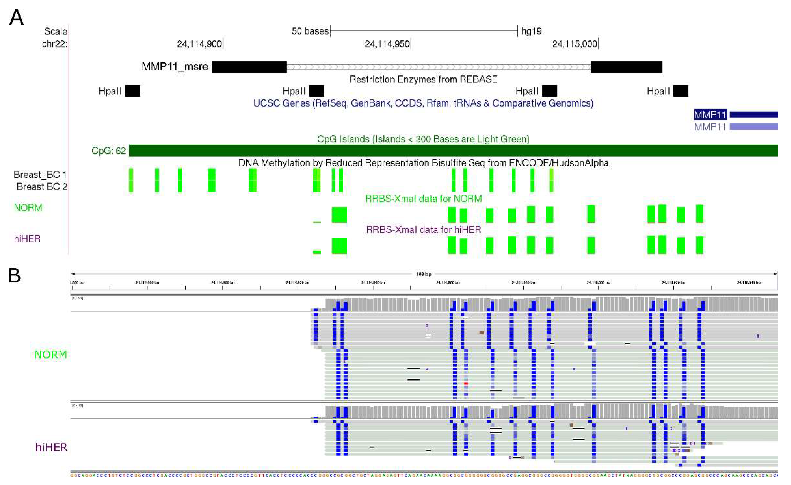 Biomedicines 08 00116 g003