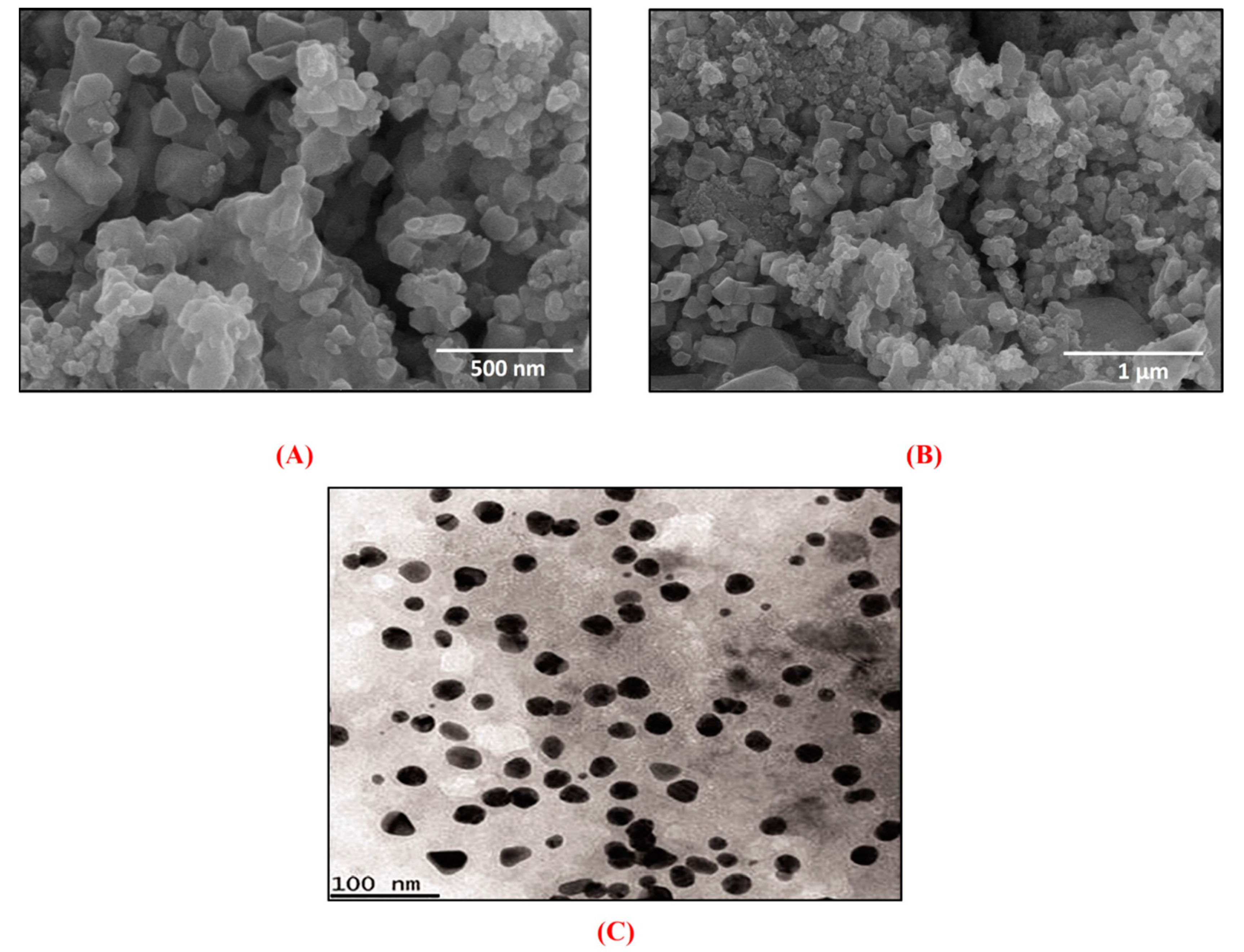 Biomedicines 08 00117 g005 Biomedicines 08 00117 g005