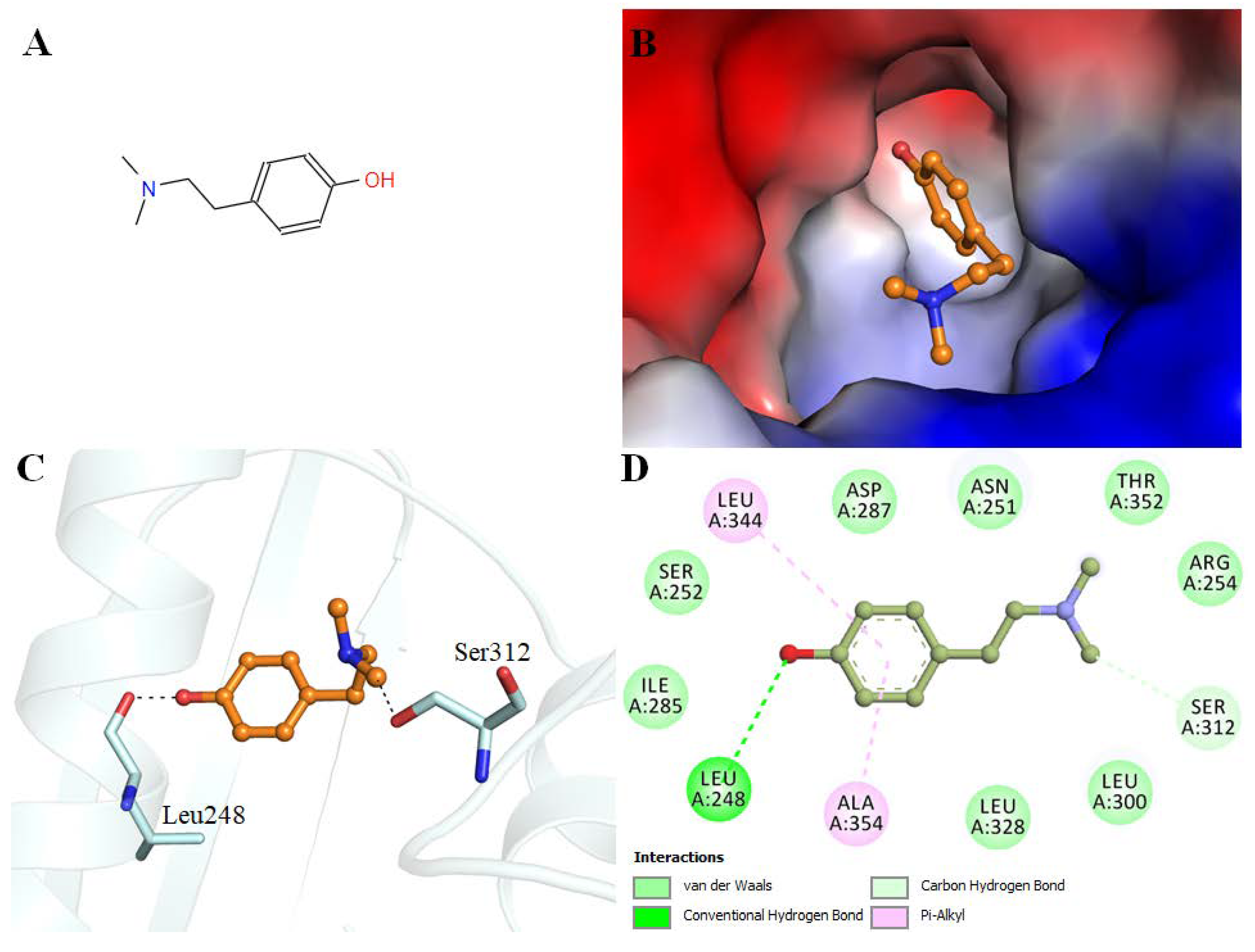 Biomedicines 08 00119 g001