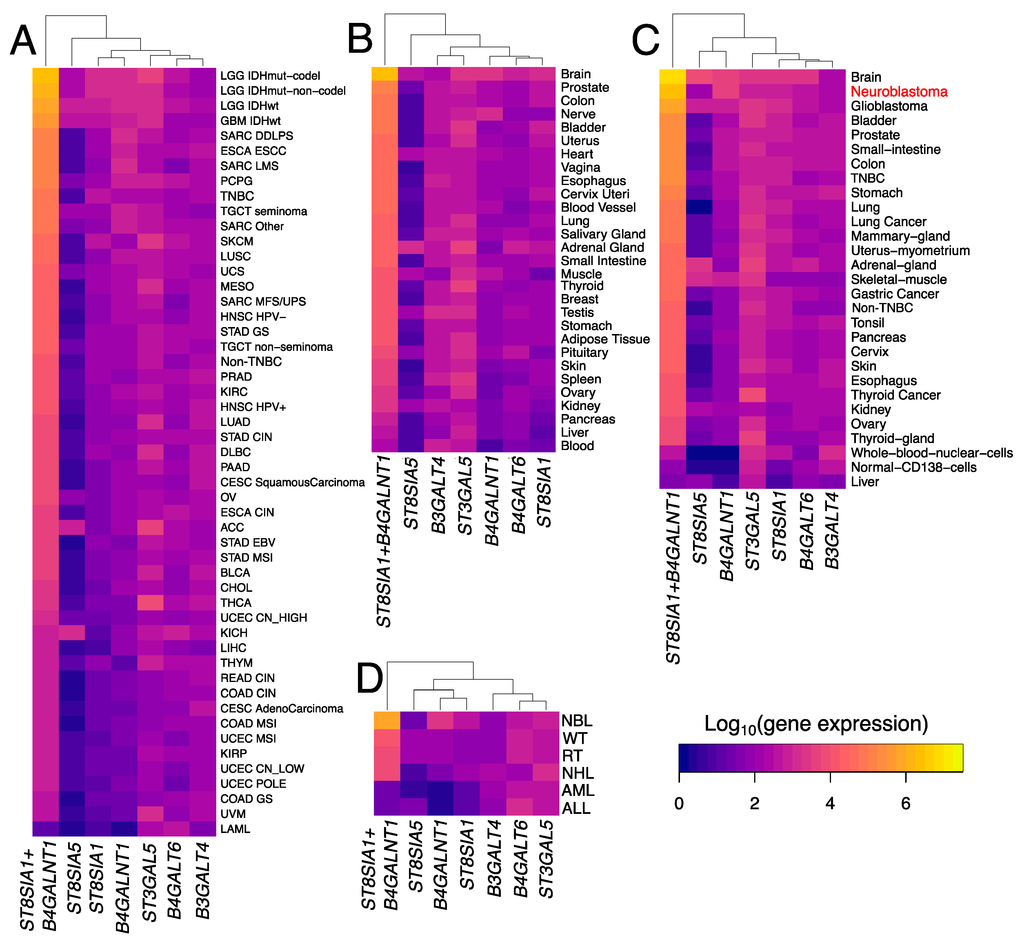 Biomedicines 08 00142 g004