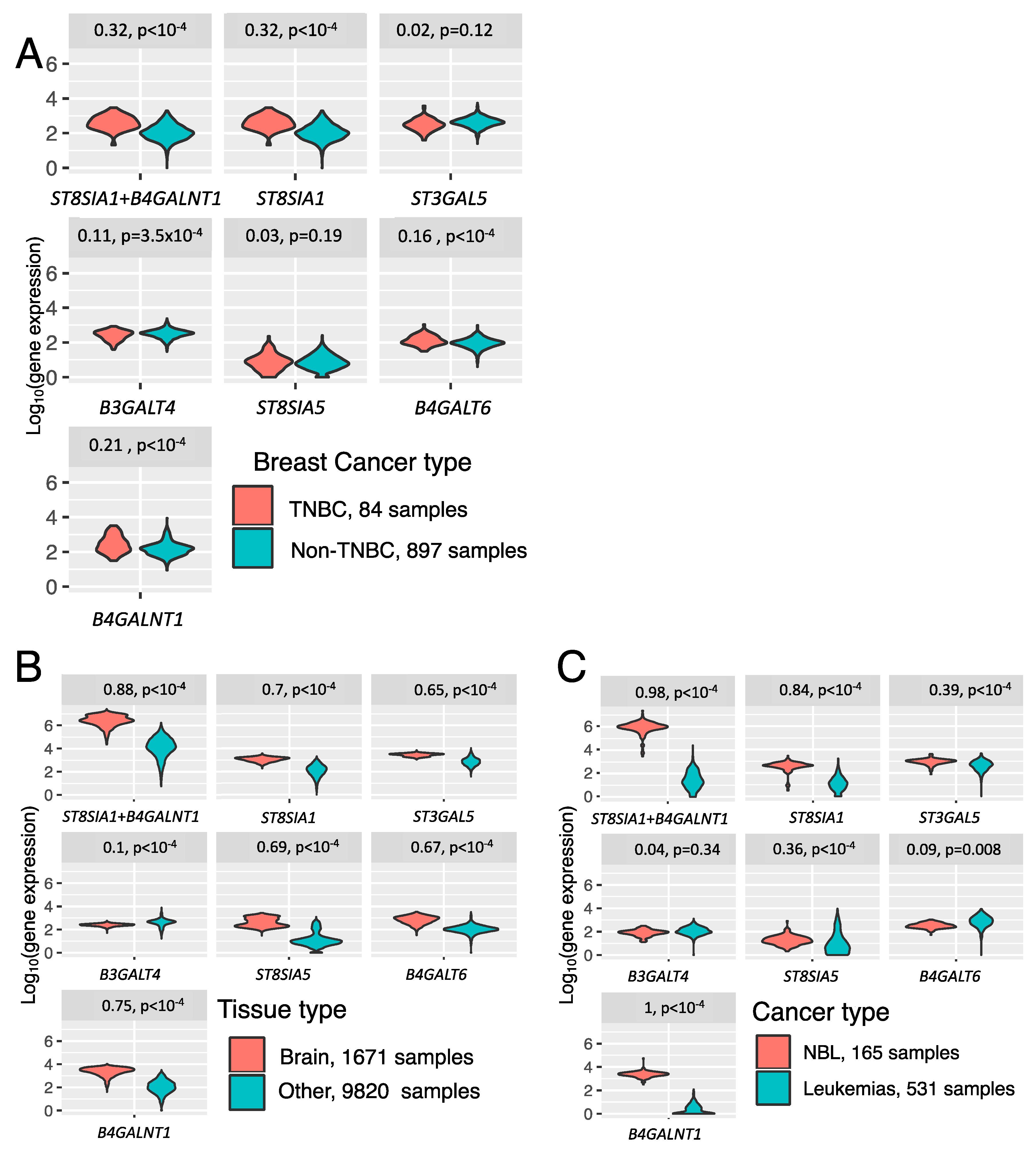 Biomedicines 08 00142 g005