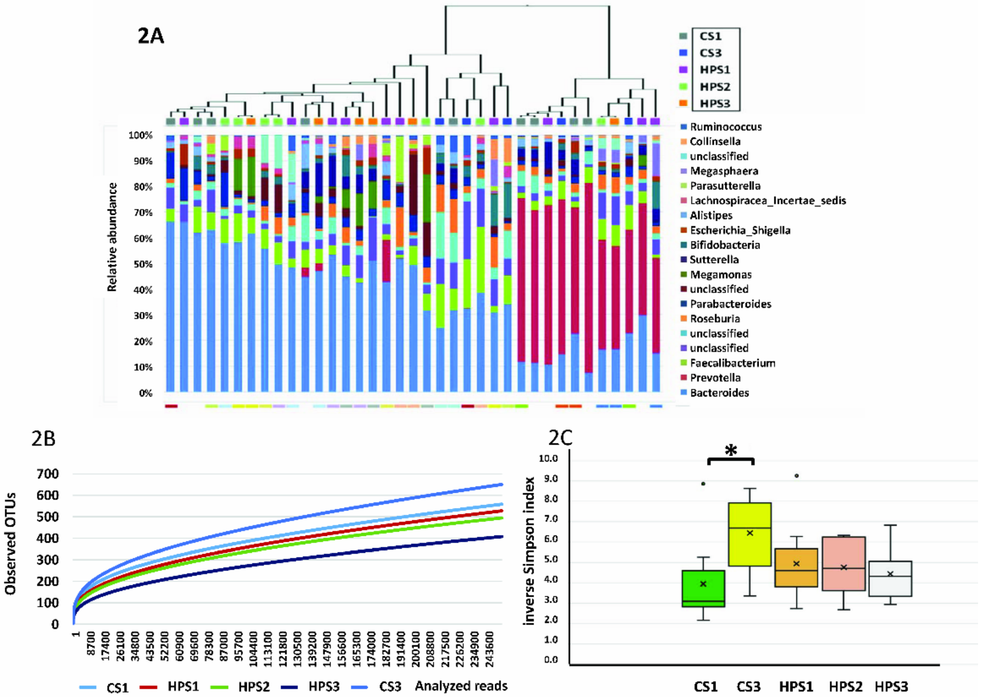 Biomedicines 08 00146 g002 Biomedicines 08 00146 g002