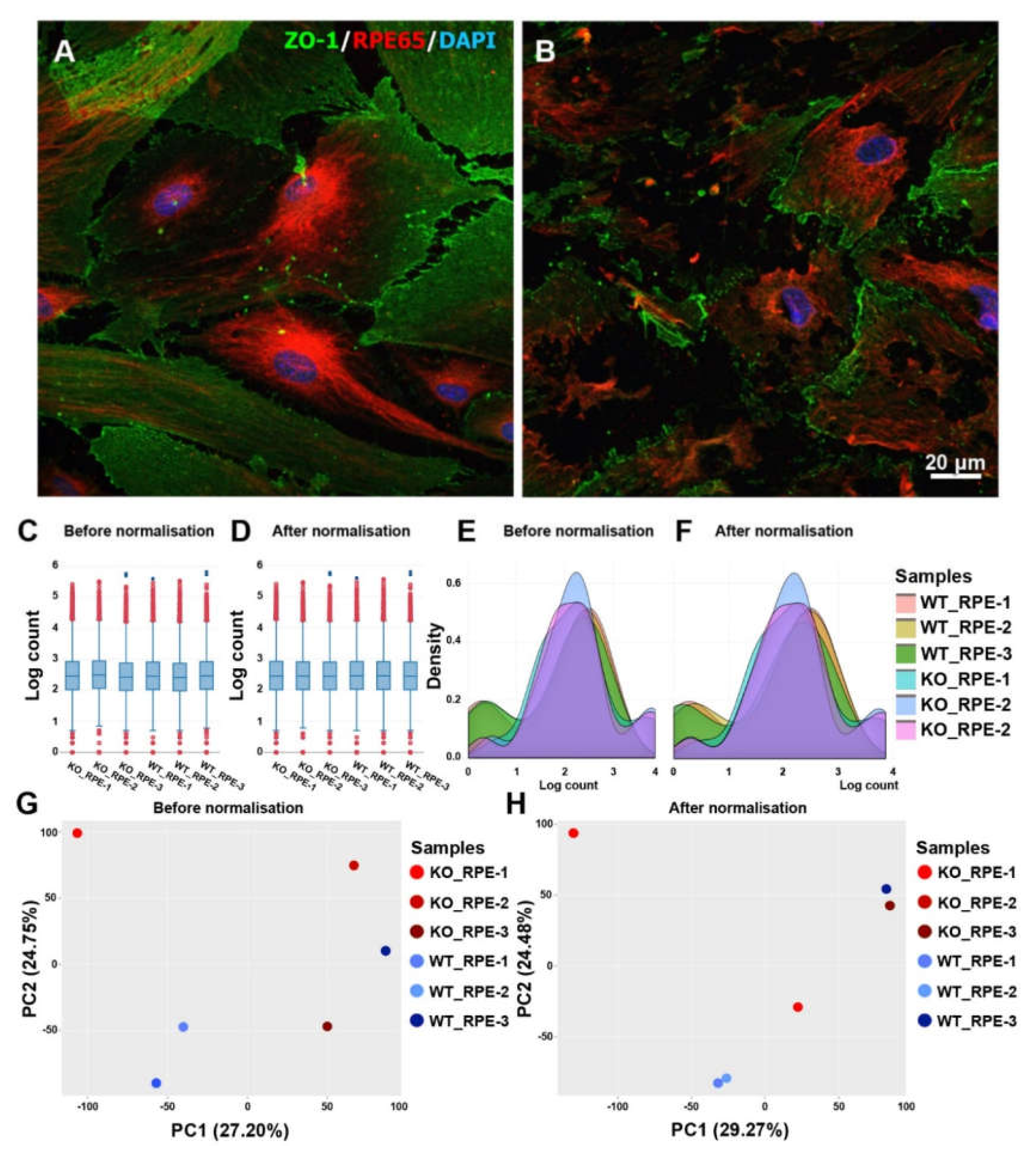 Biomedicines 08 00147 g001