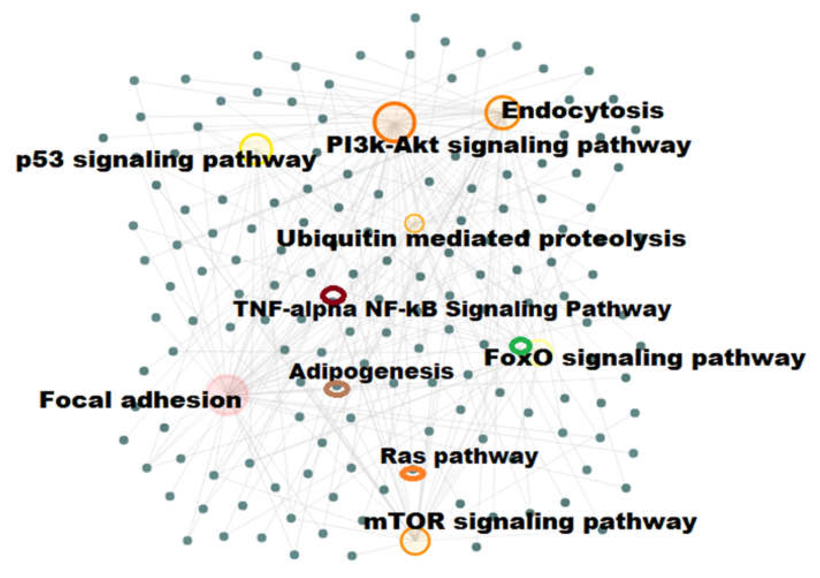Biomedicines 08 00147 g003