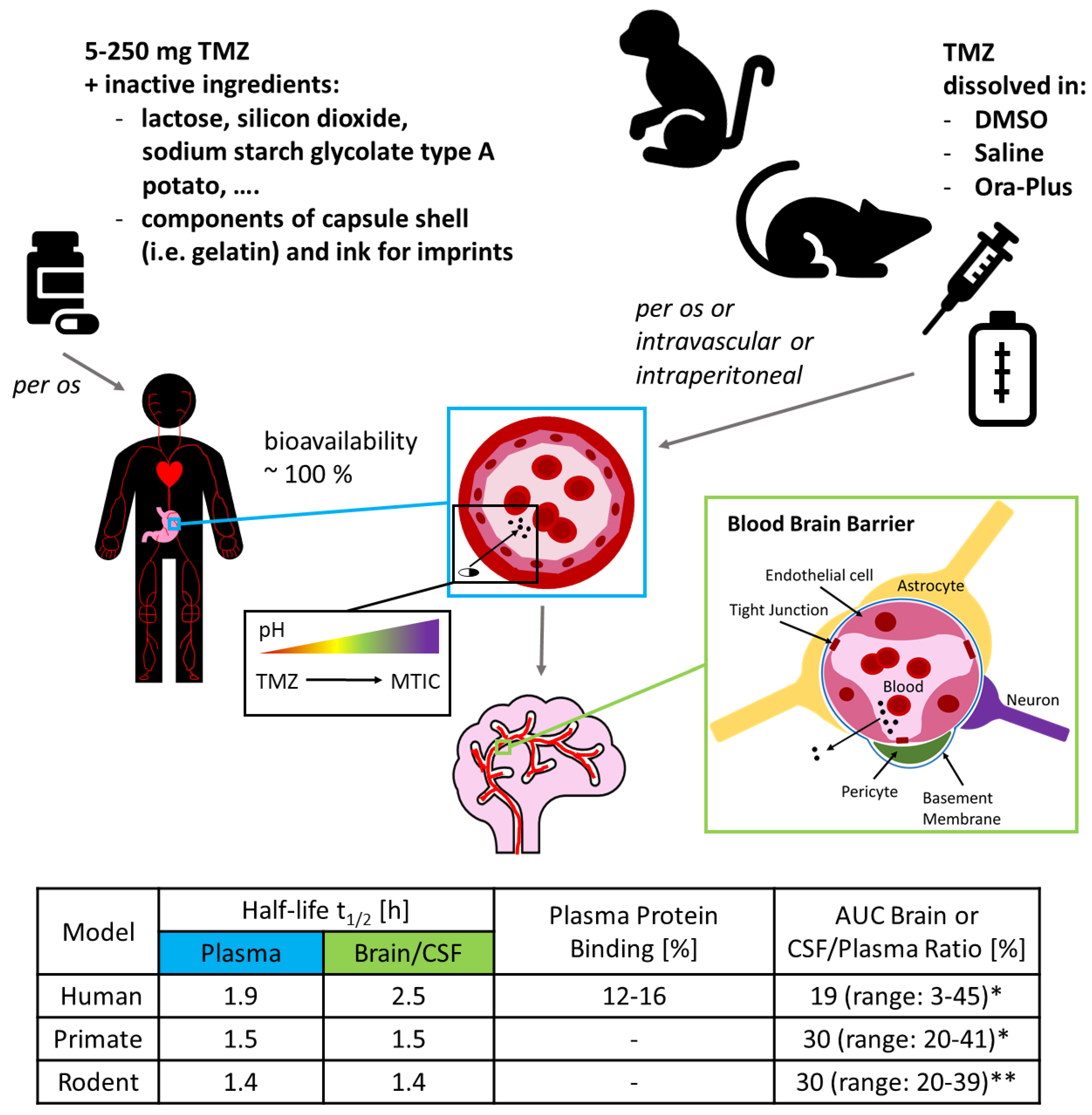 Biomedicines 08 00151 g001