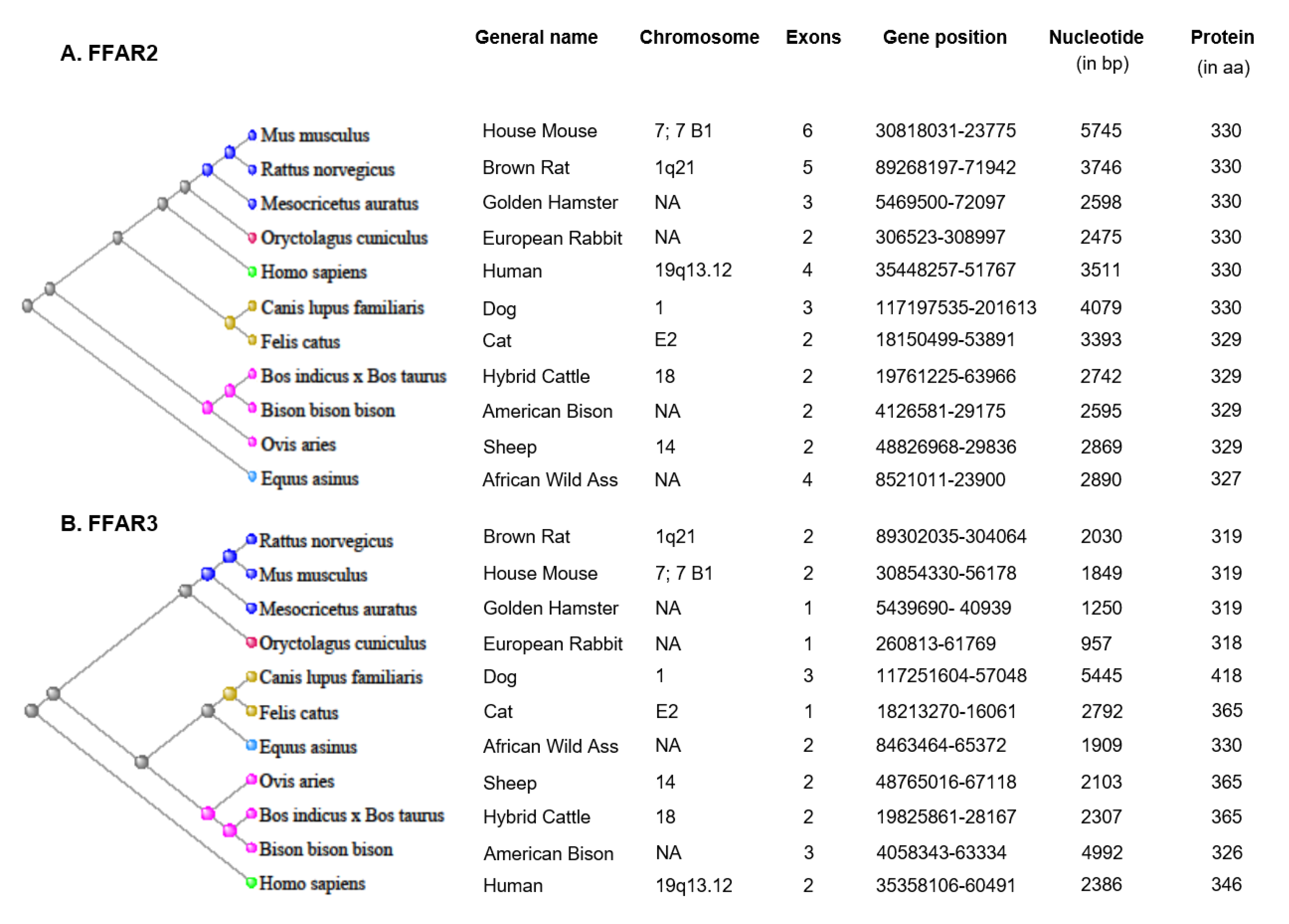 Biomedicines 08 00154 g001
