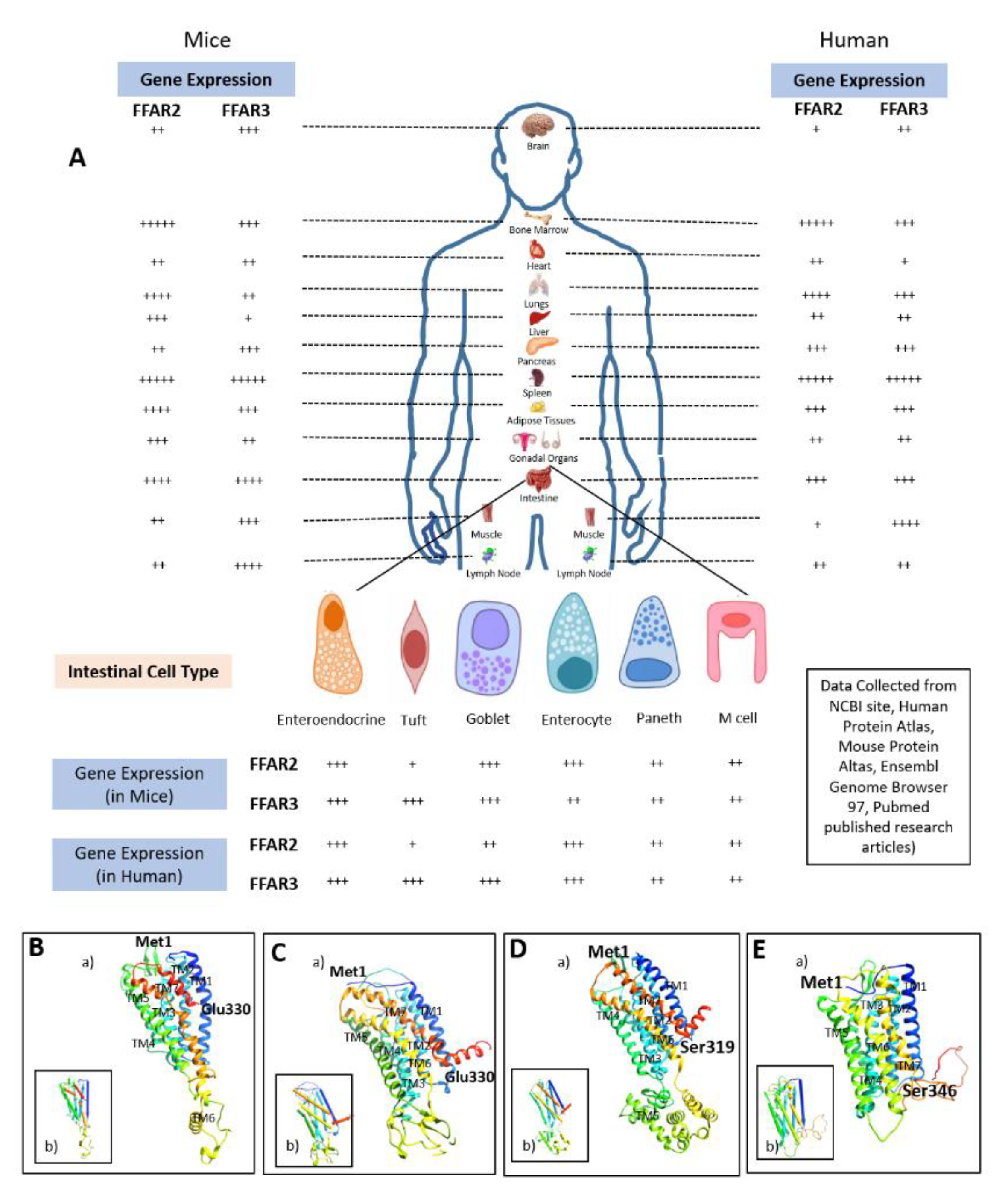 Biomedicines 08 00154 g002
