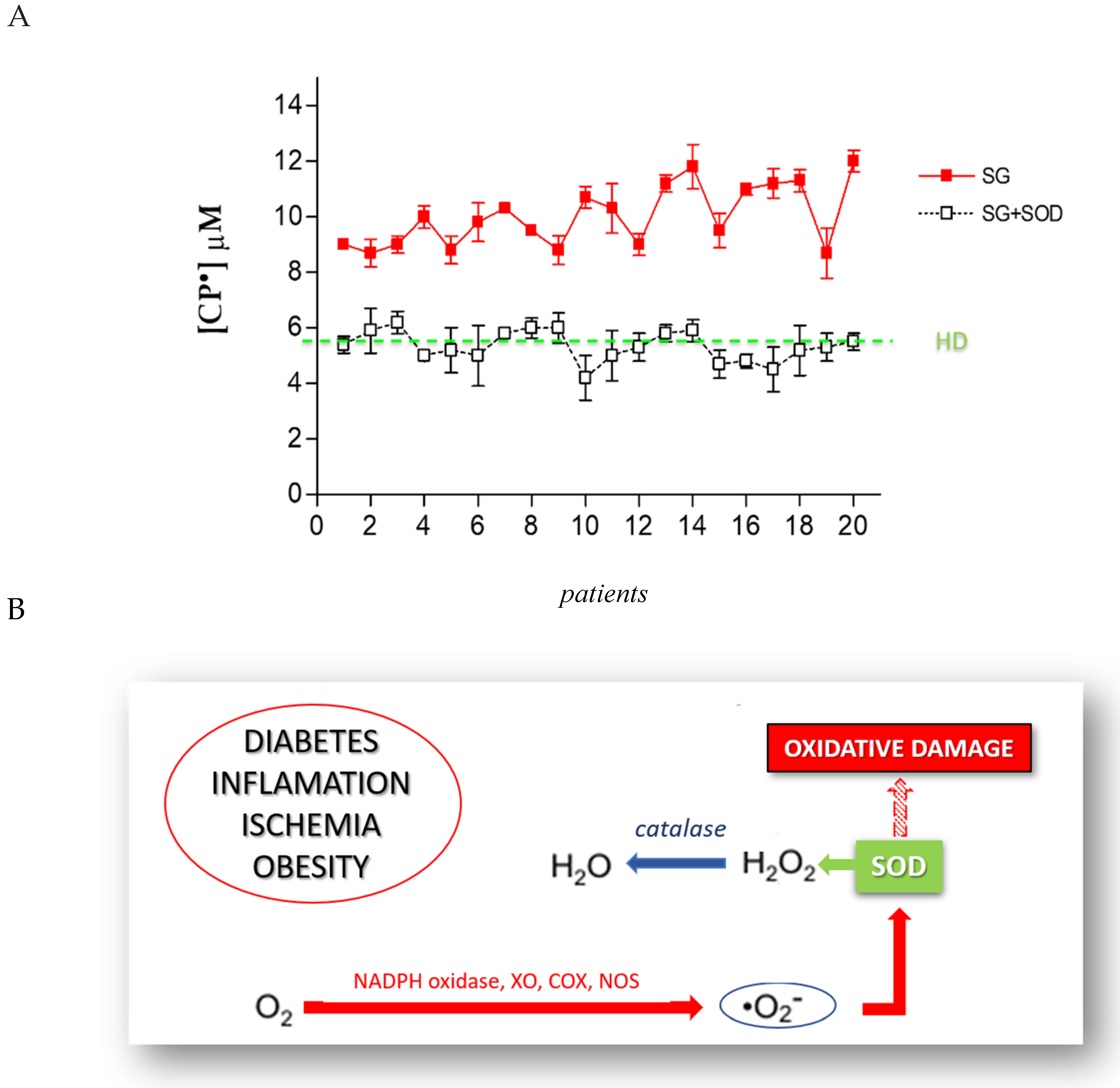 Biomedicines 08 00168 g004