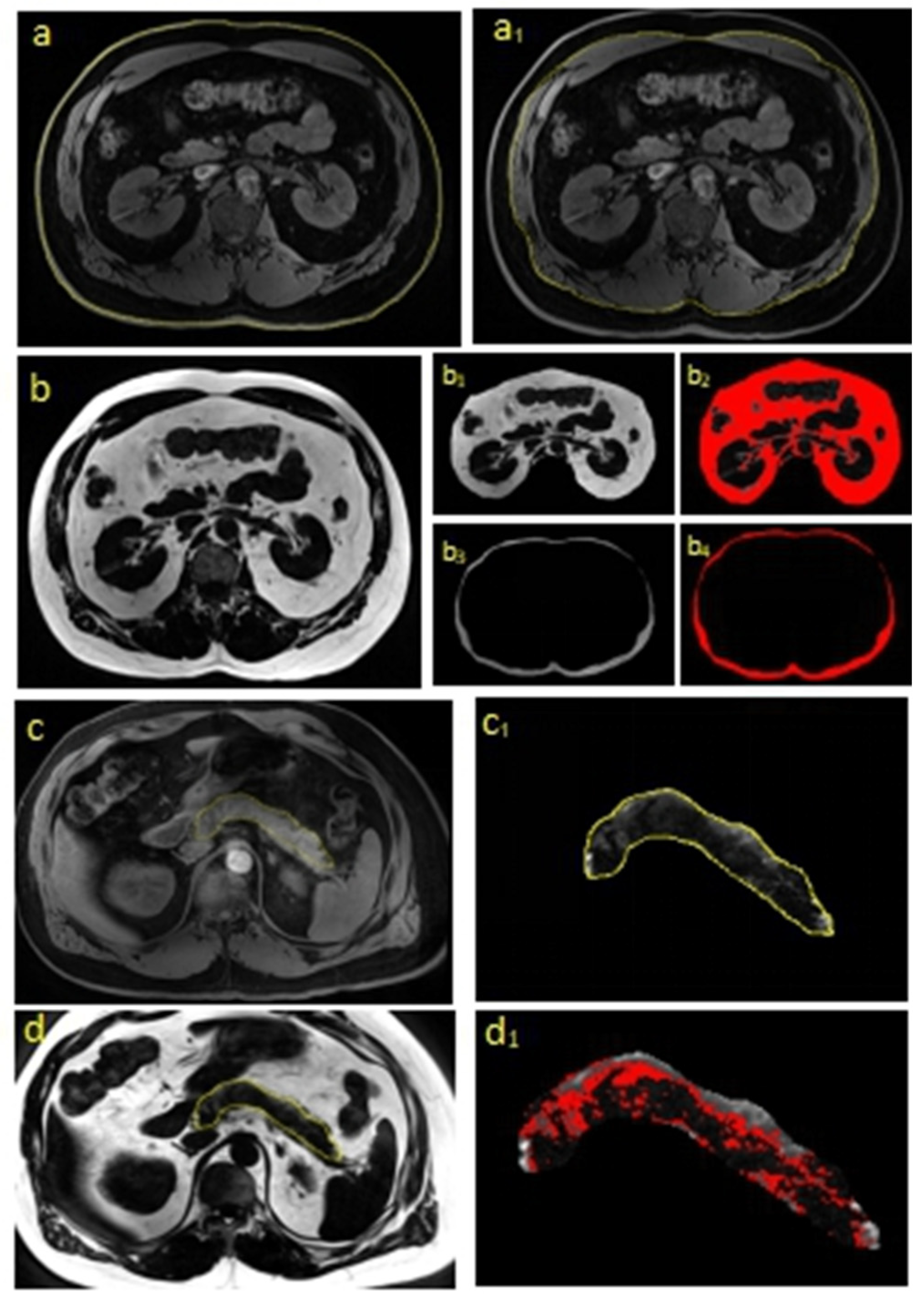 Biomedicines 08 00174 g001