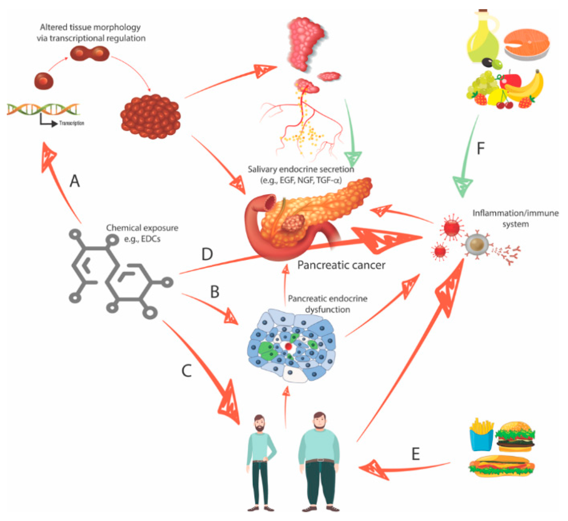 Biomedicines 08 00178 g002