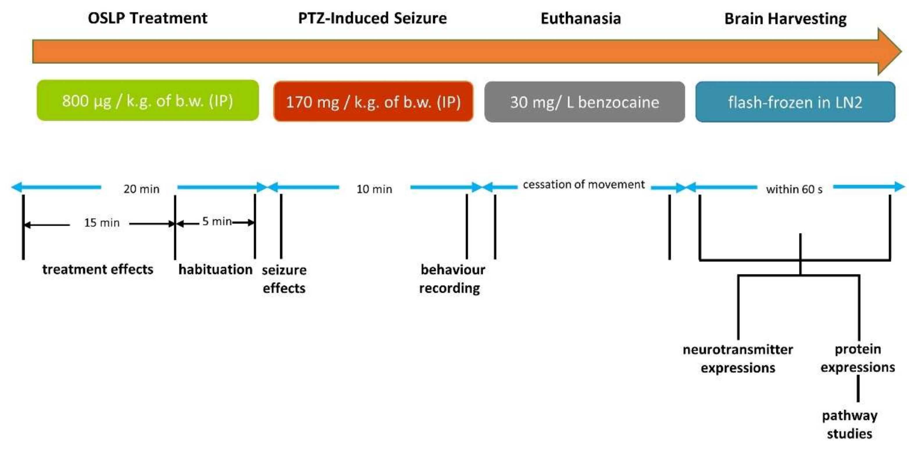 Biomedicines 08 00191 g001
