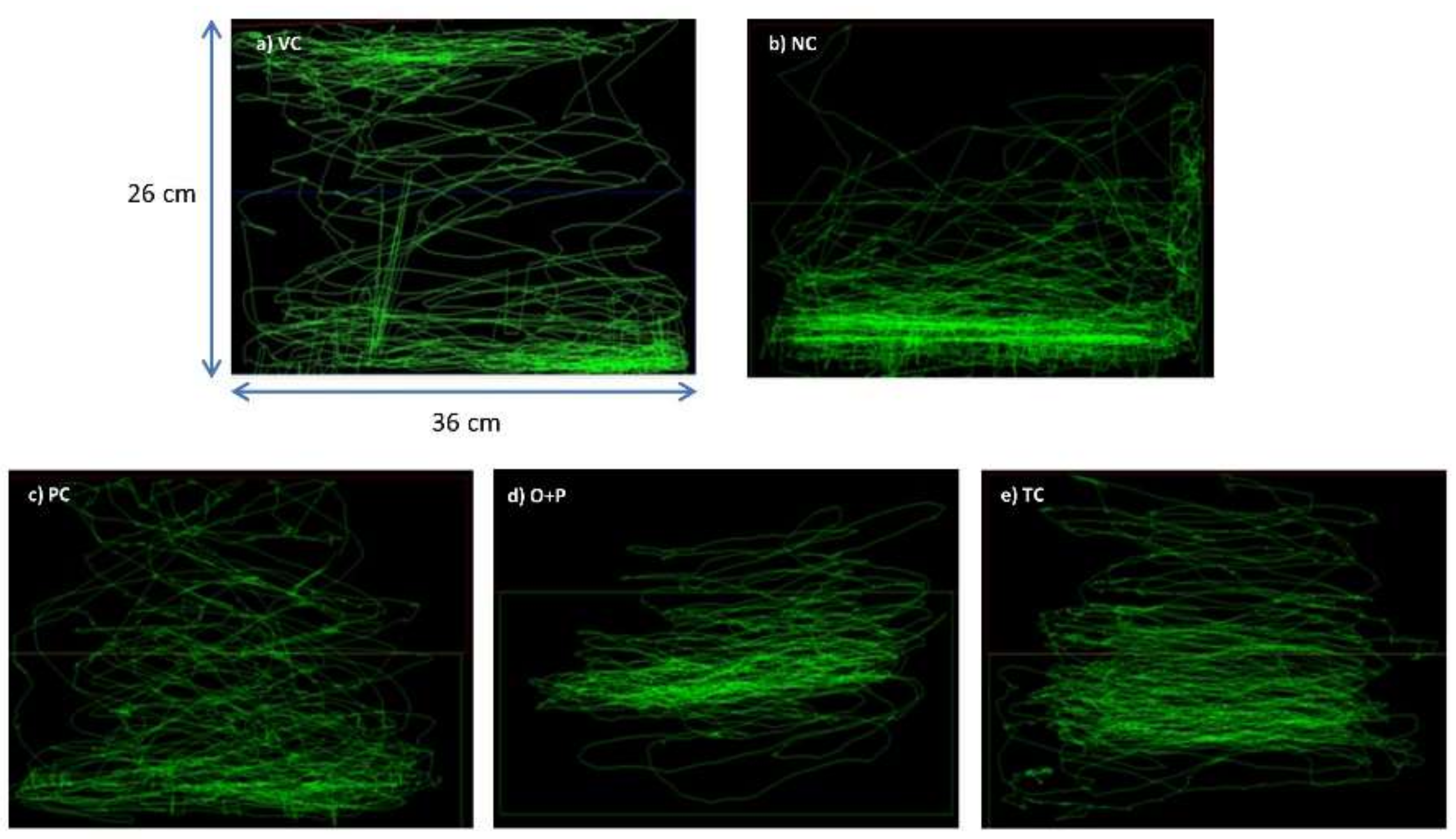 Biomedicines 08 00191 g004
