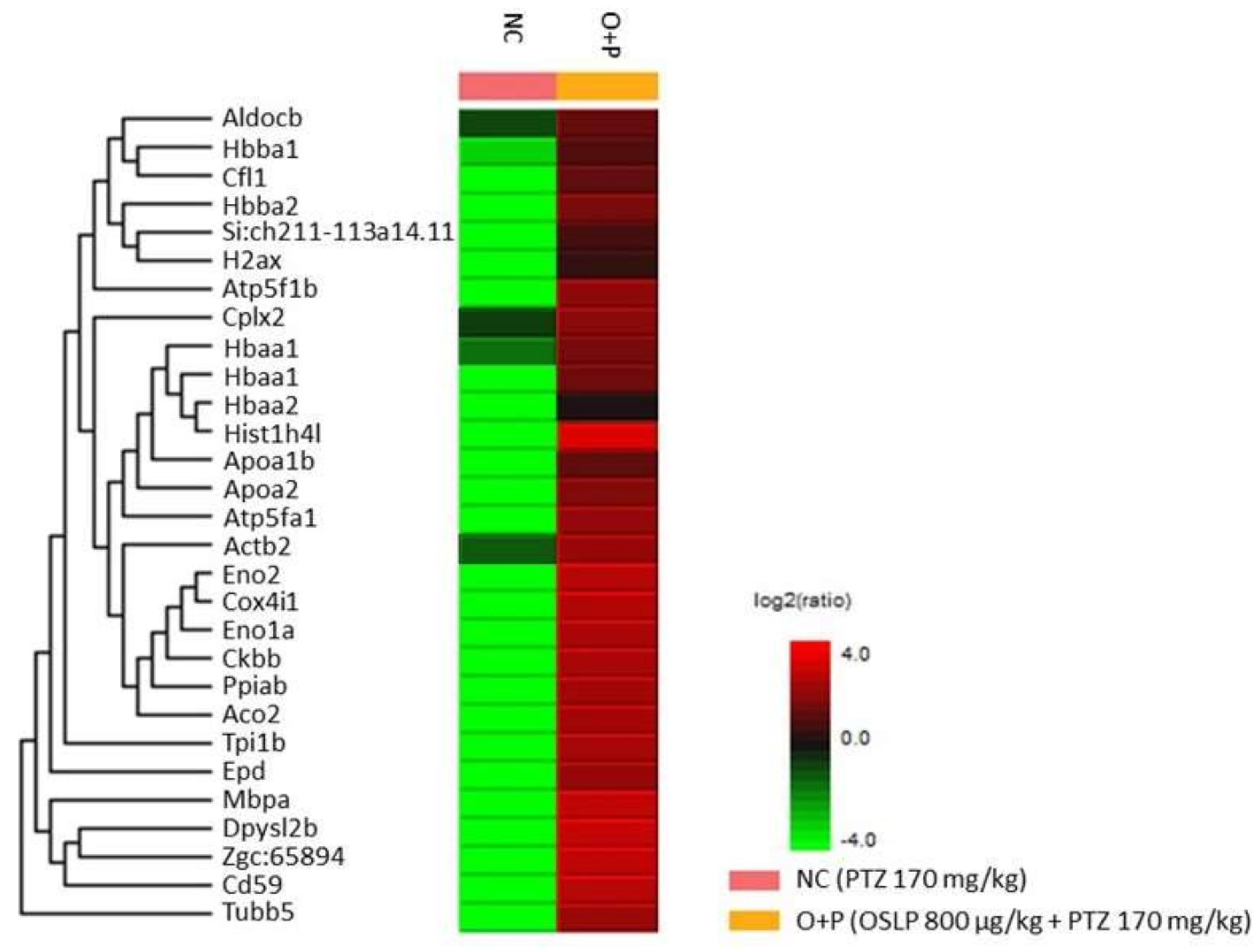 Biomedicines 08 00191 g008