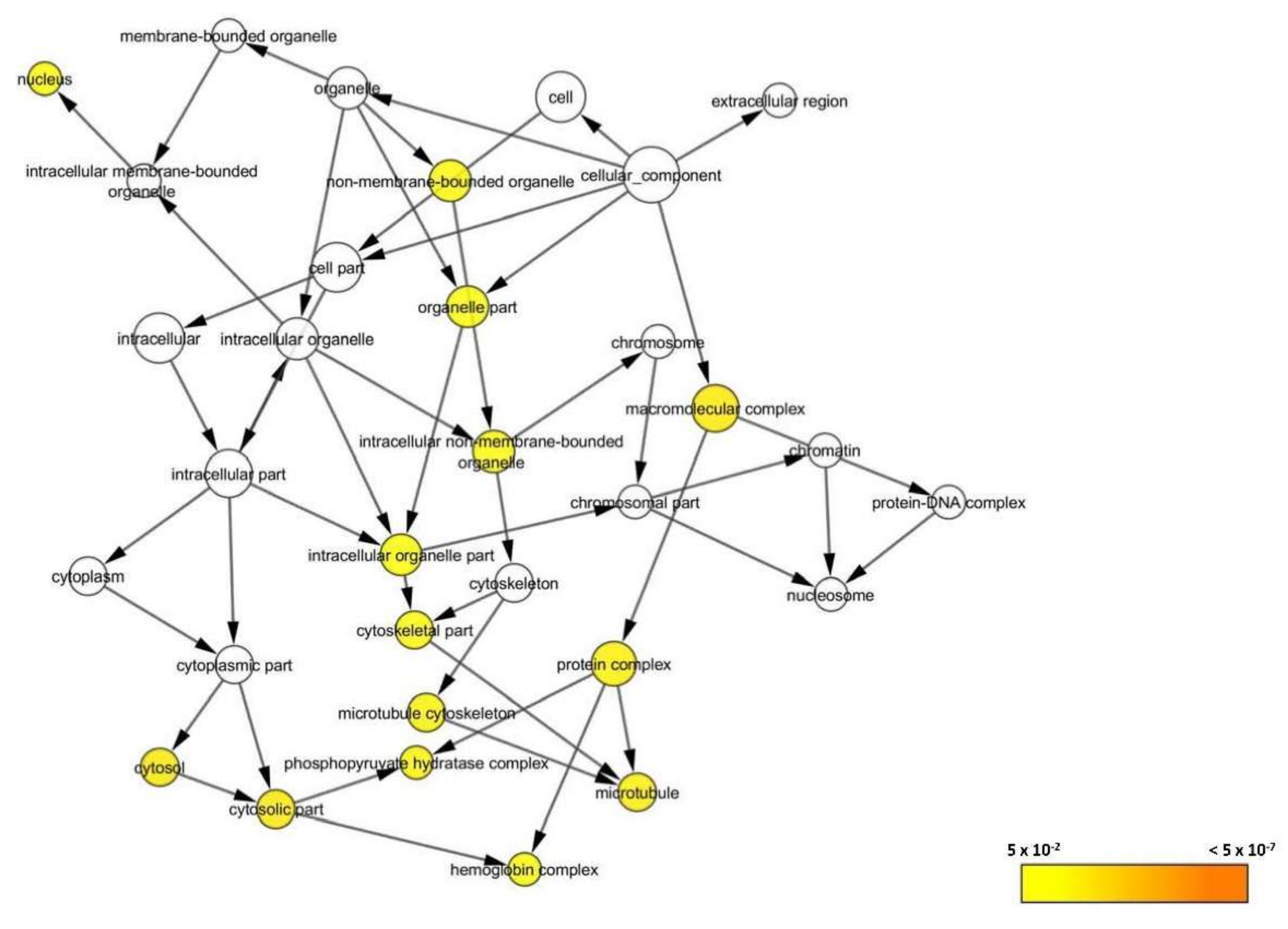 Biomedicines 08 00191 g009