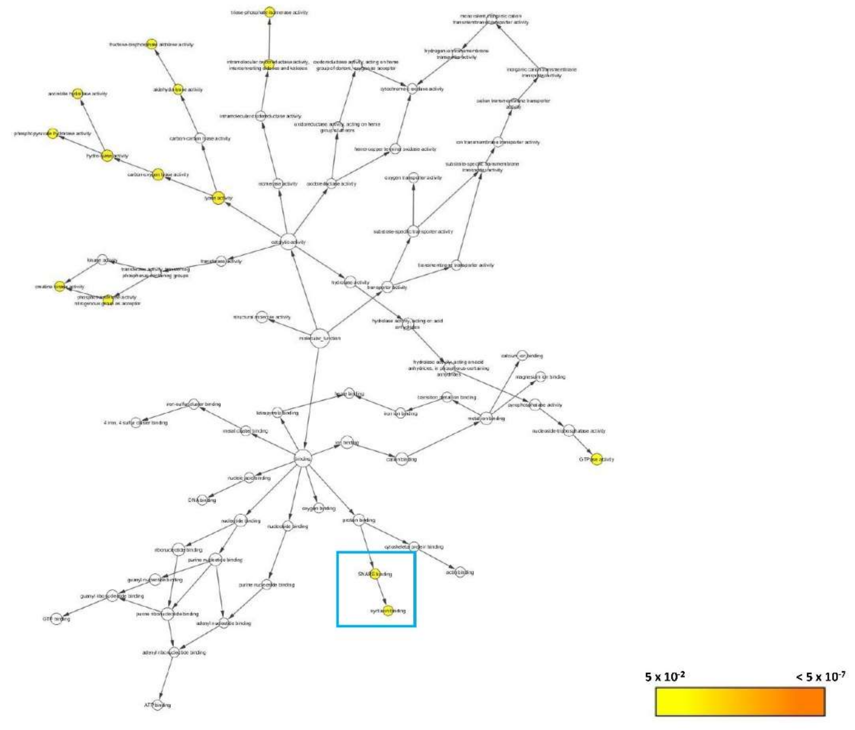 Biomedicines 08 00191 g010