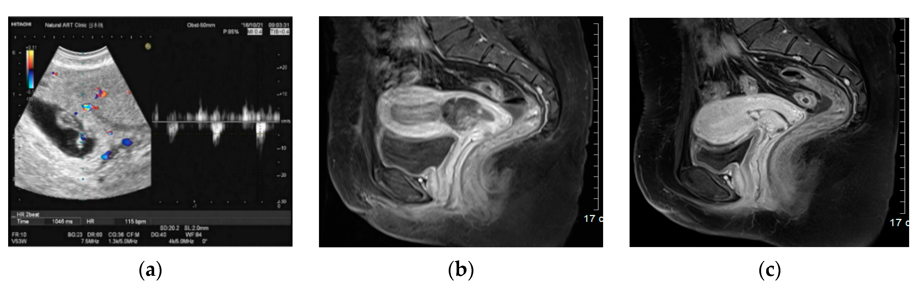 Biomedicines 08 00202 g002