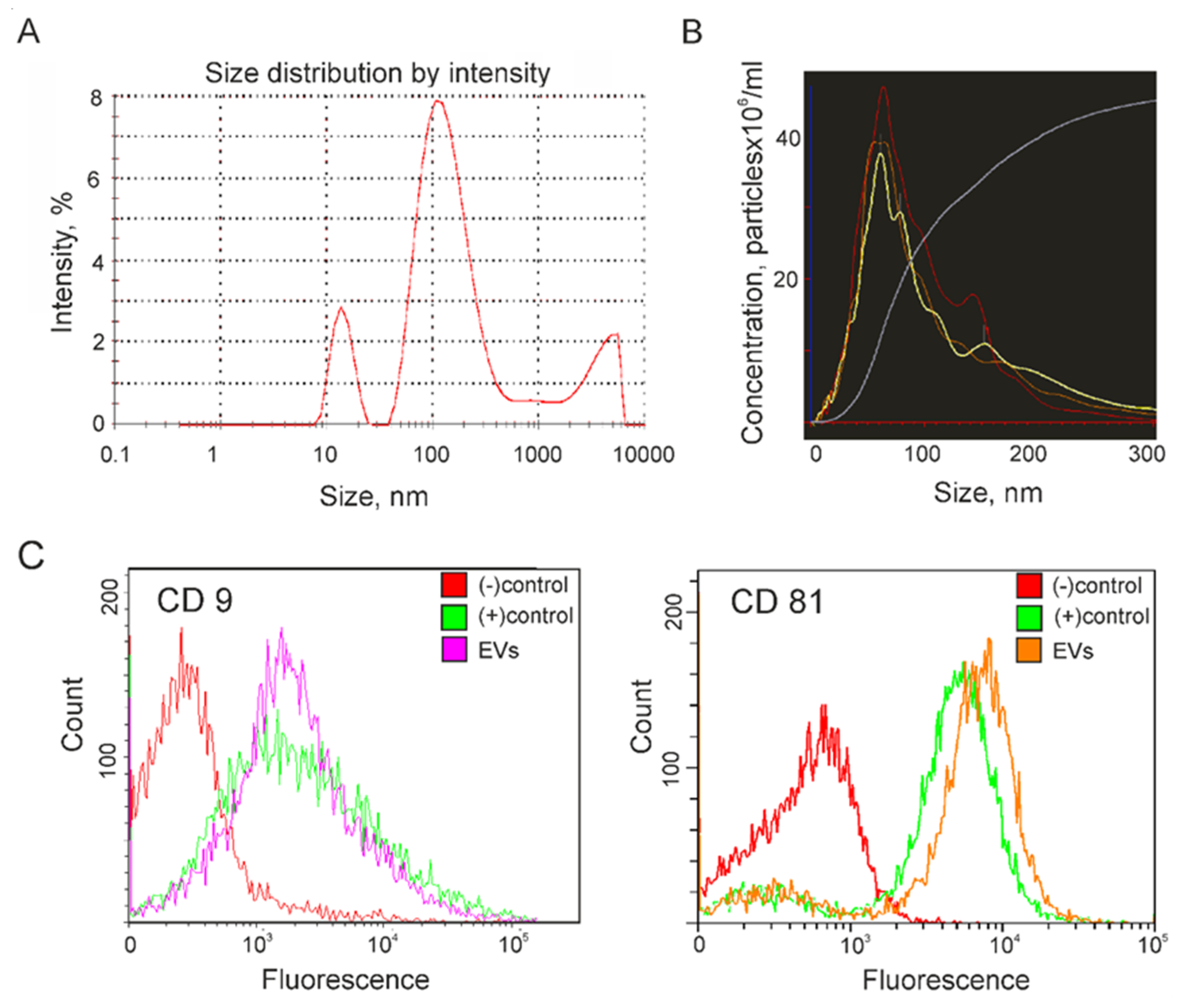 Biomedicines 08 00216 g001