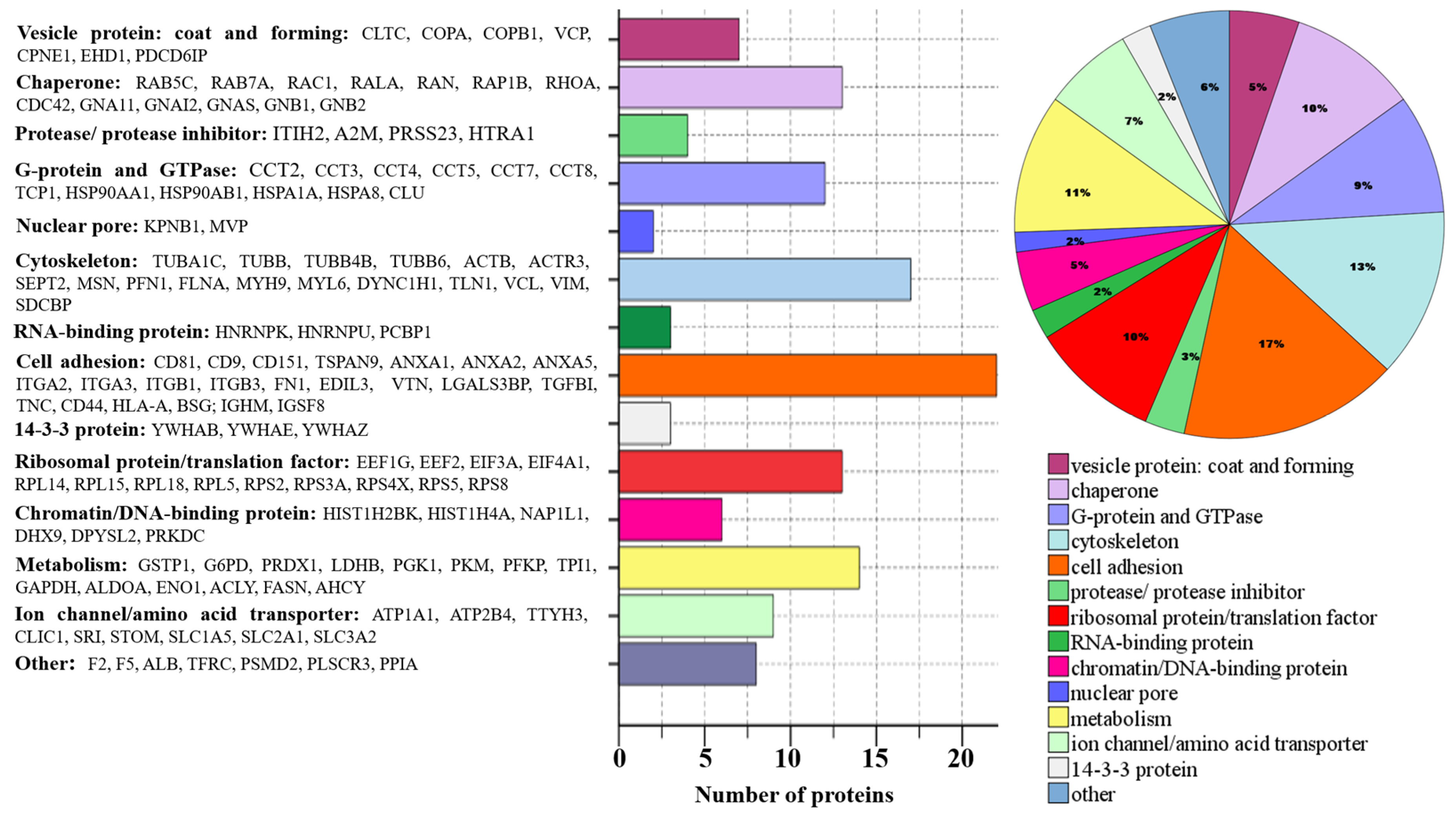 Biomedicines 08 00216 g005