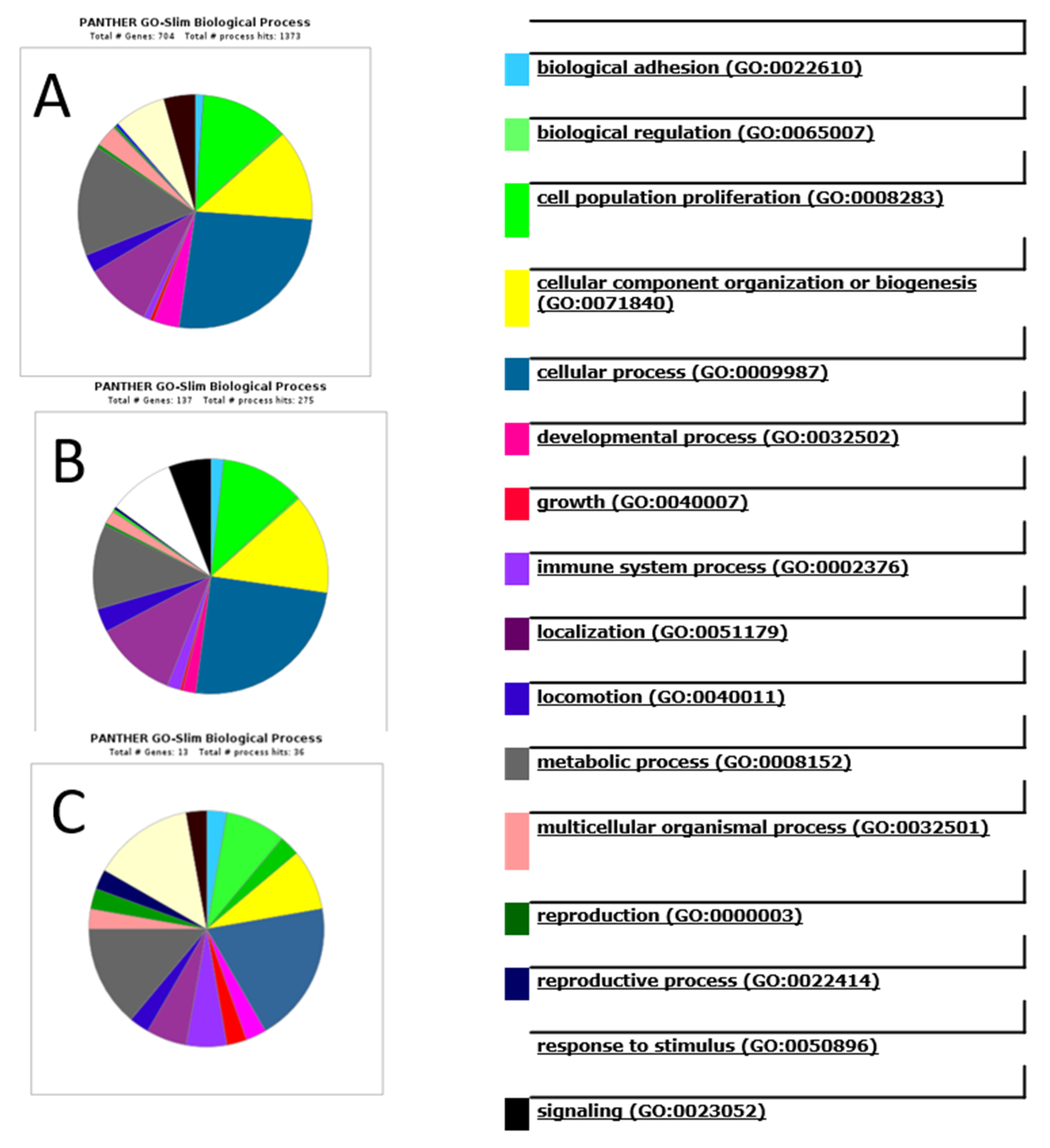 Biomedicines 08 00216 g008