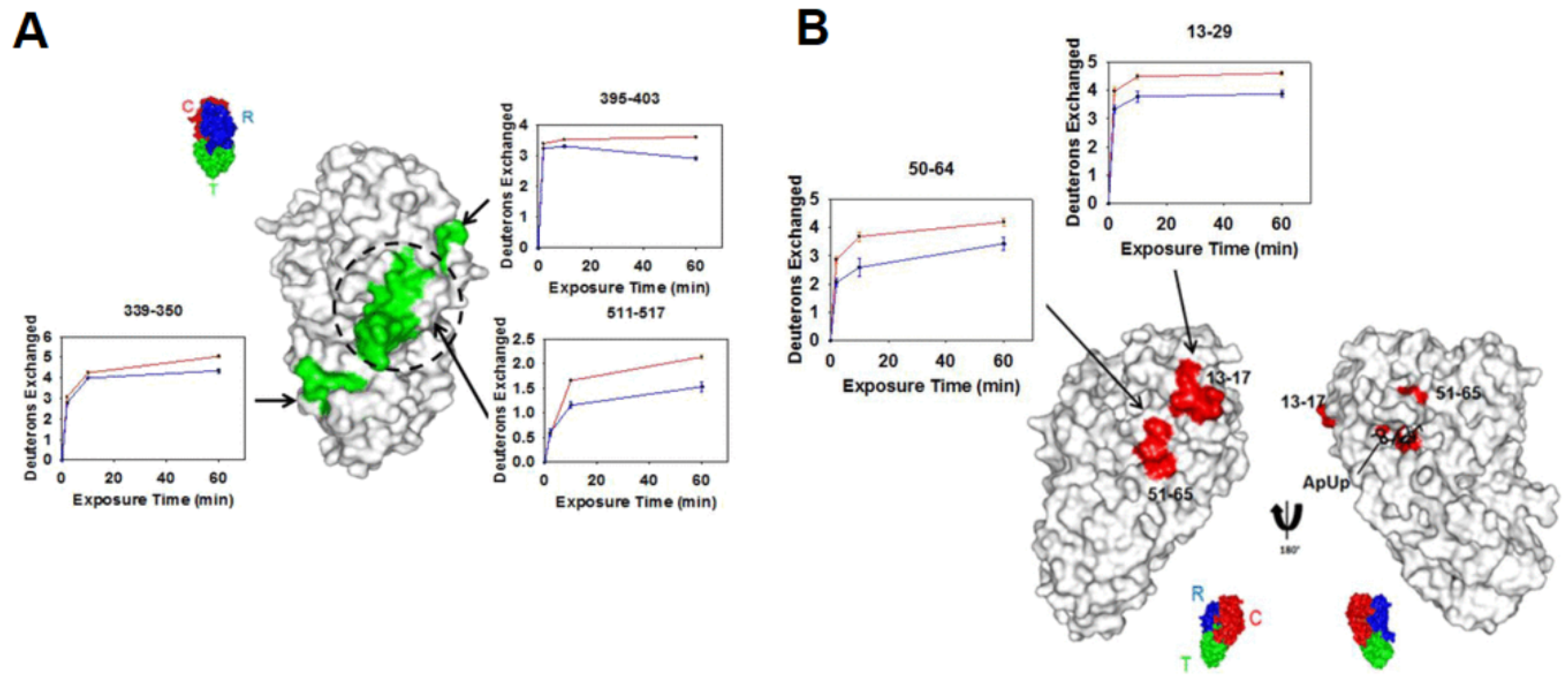Biomedicines 08 00224 g008 Biomedicines 08 00224 g008