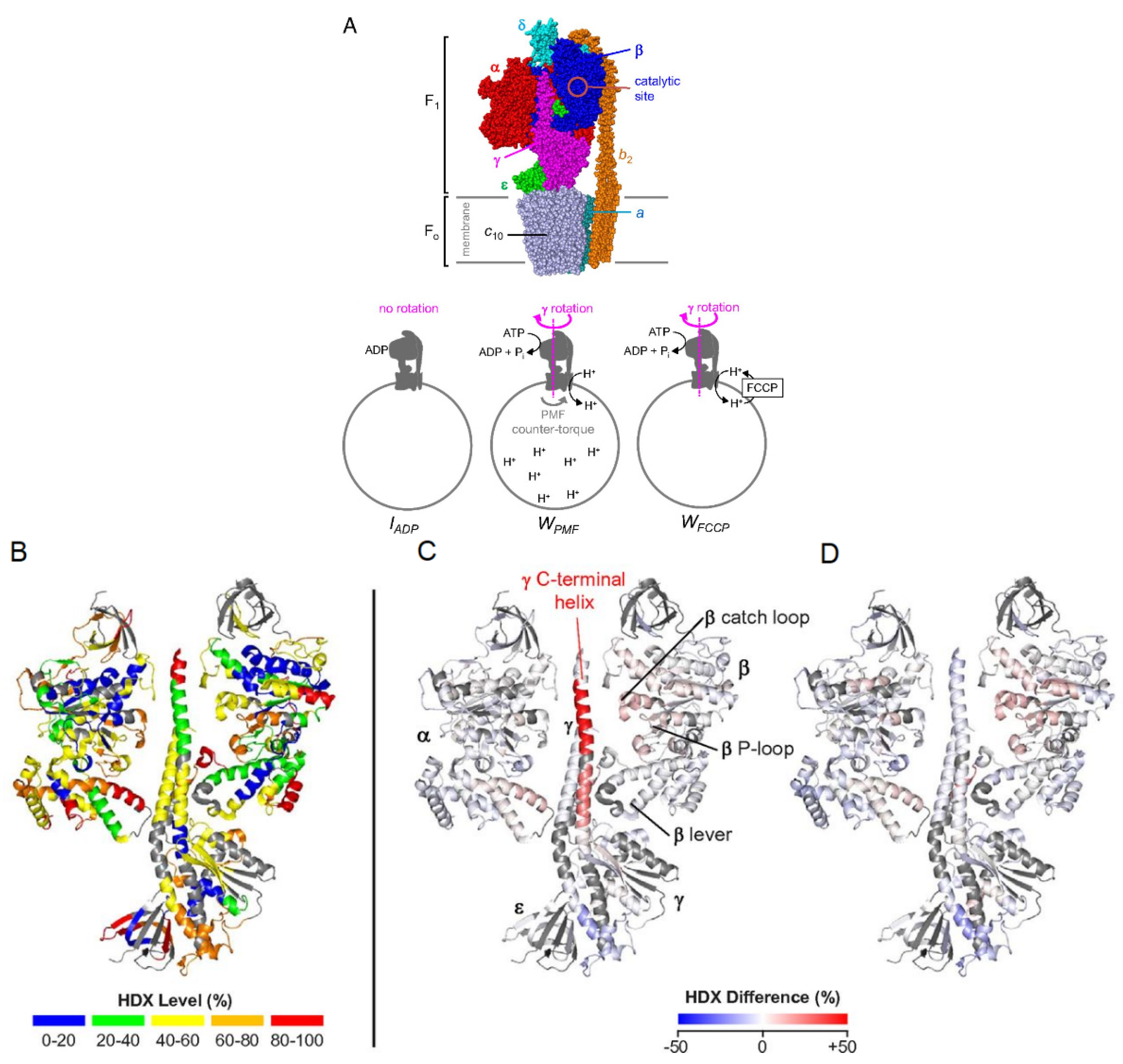 Biomedicines 08 00224 g009 Biomedicines 08 00224 g009