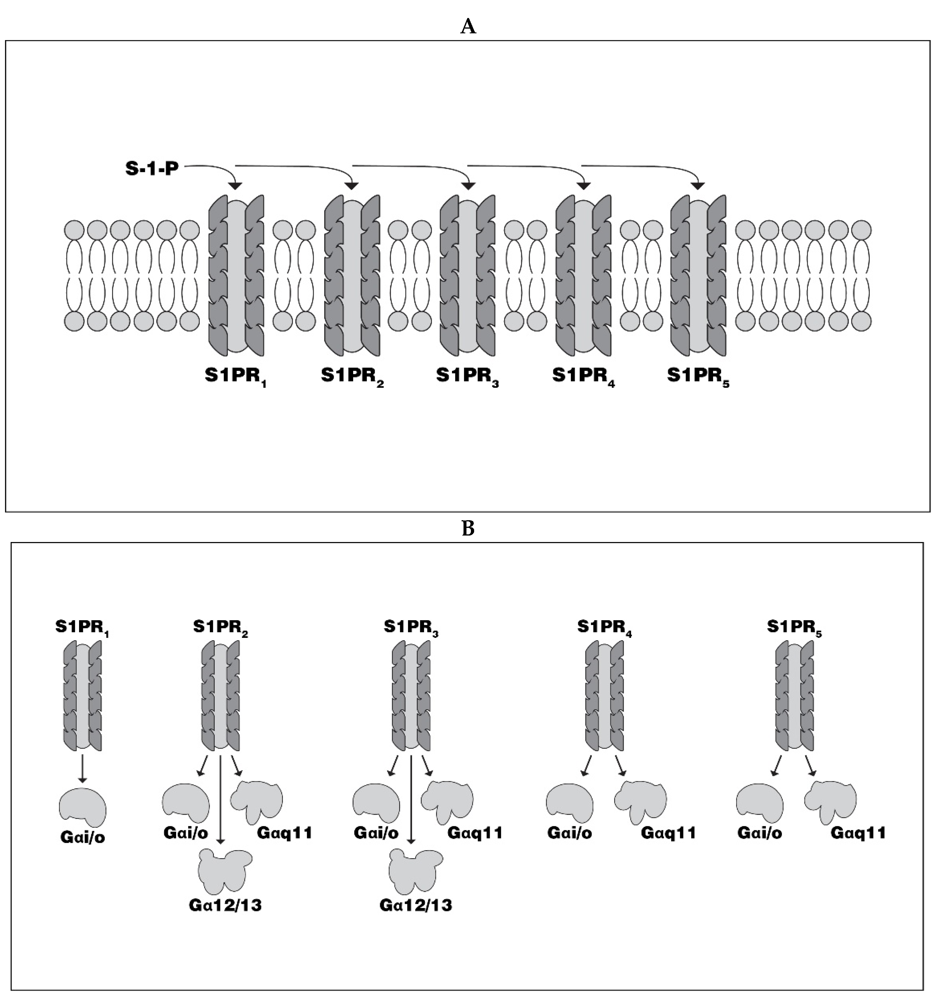 Biomedicines 08 00227 g002