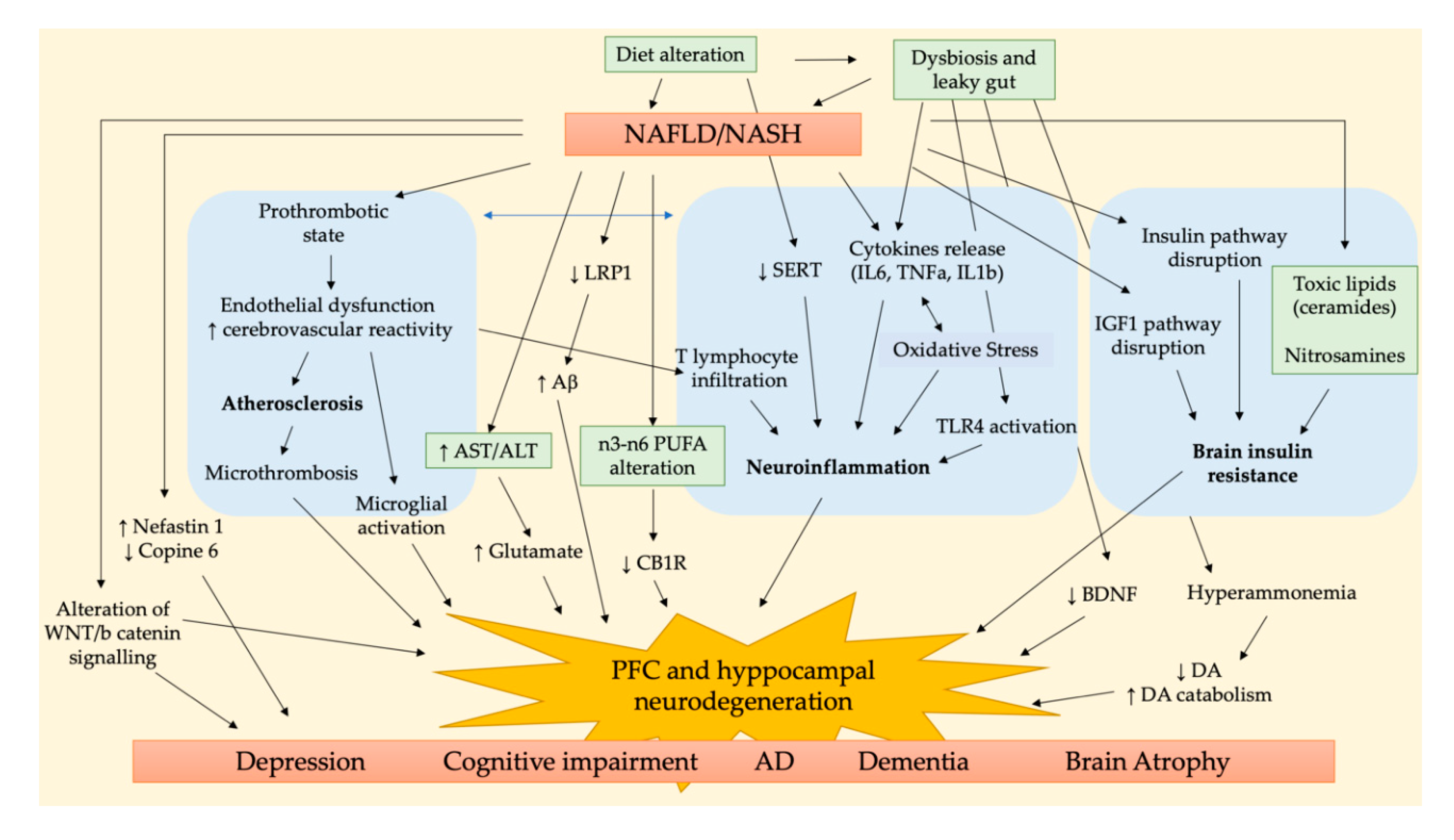 Biomedicines 08 00229 g001