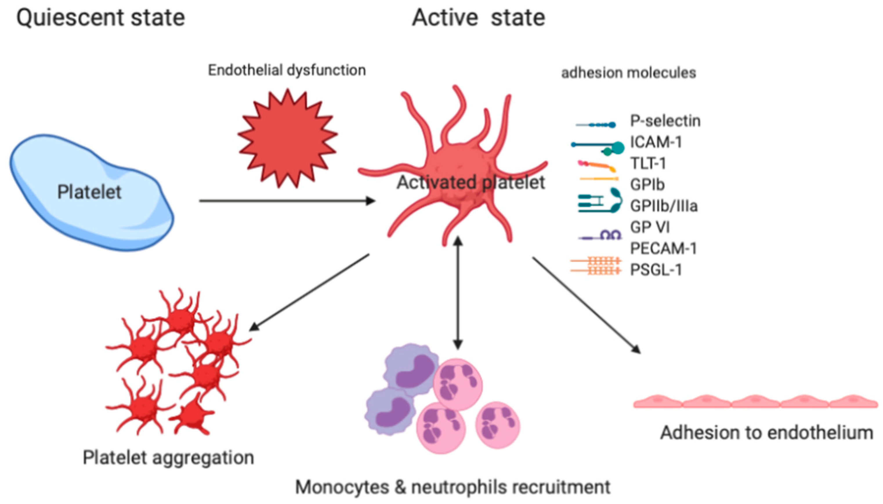 Biomedicines 08 00230 g003 Biomedicines 08 00230 g003