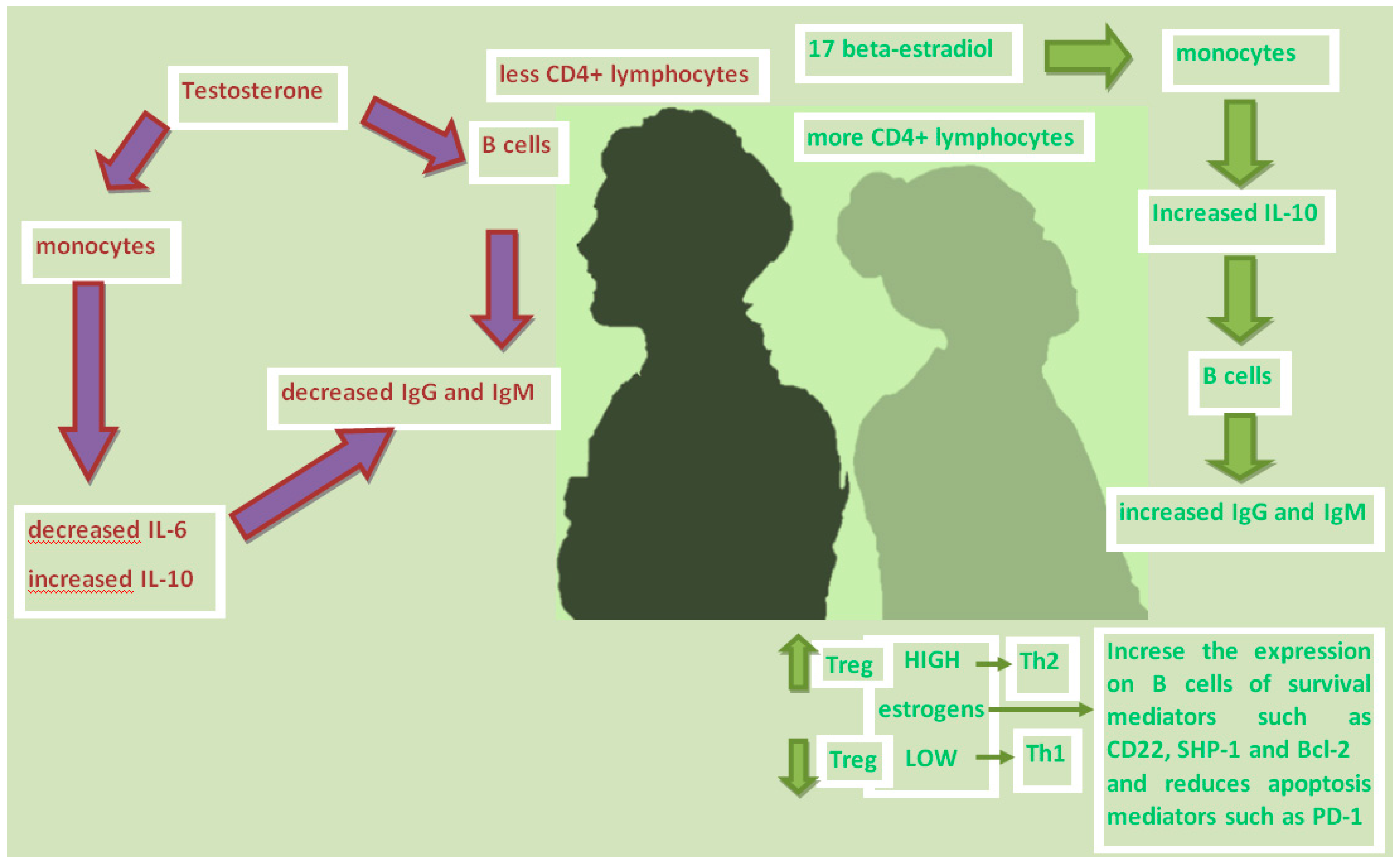 Biomedicines 08 00232 g001 Biomedicines 08 00232 g001