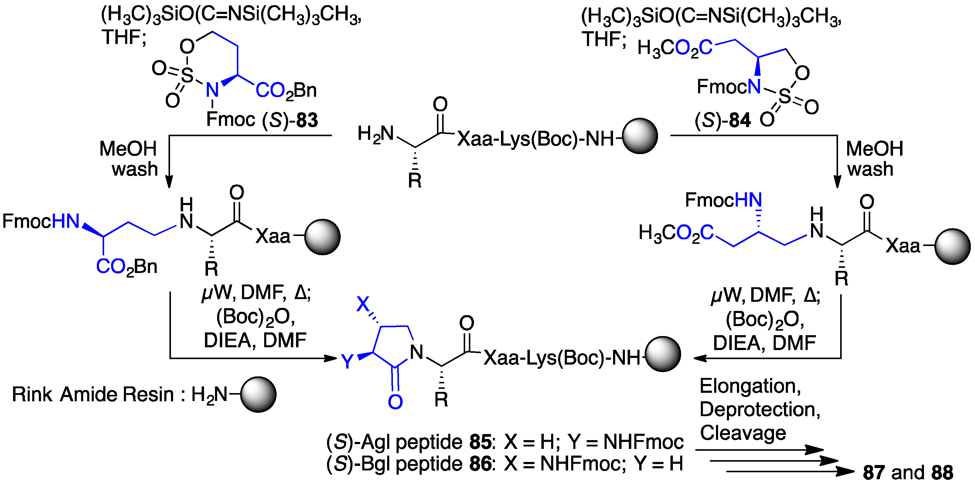 Biomedicines 08 00241 sch008 Biomedicines 08 00241 sch008