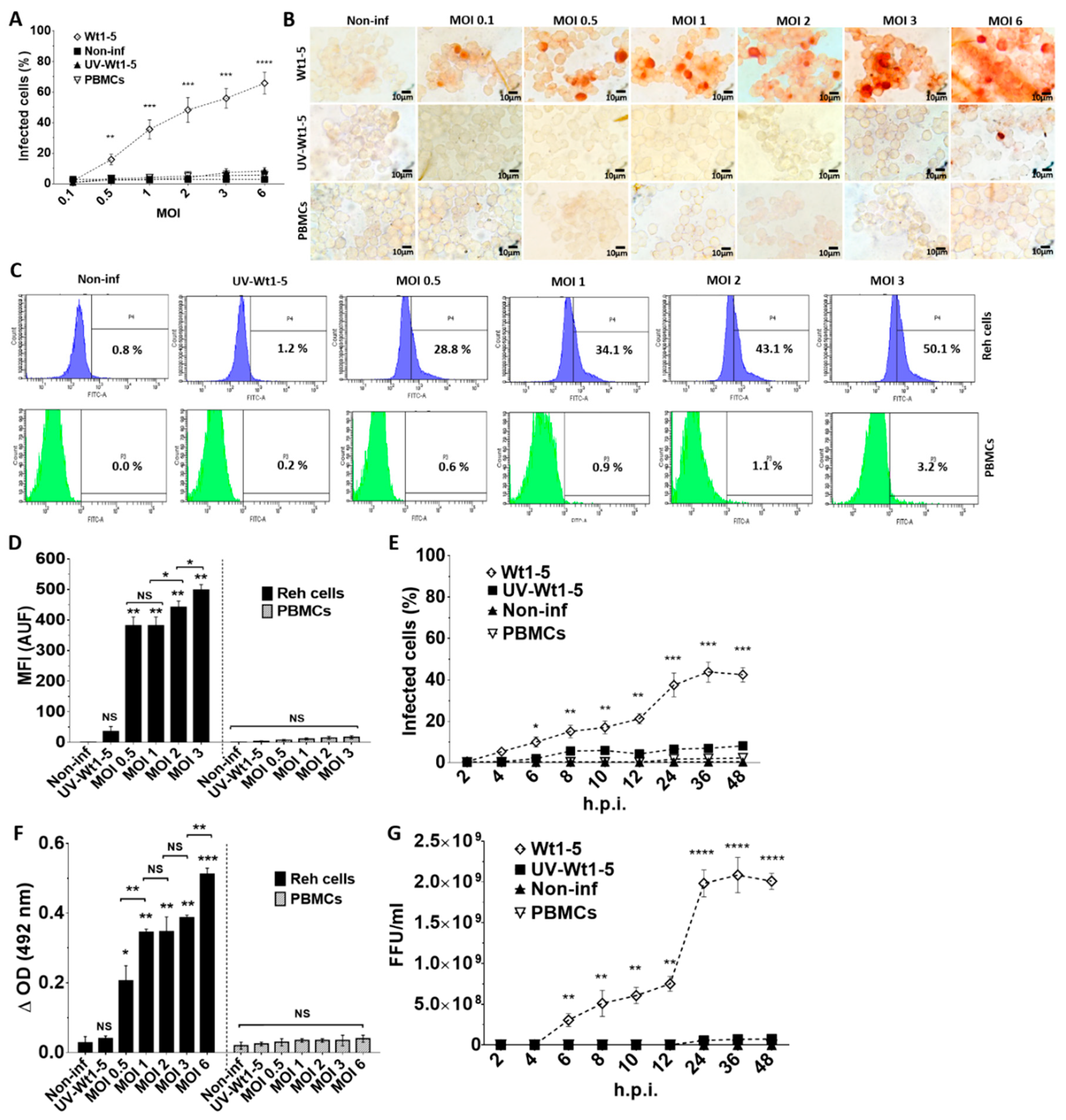 Biomedicines 08 00242 g001