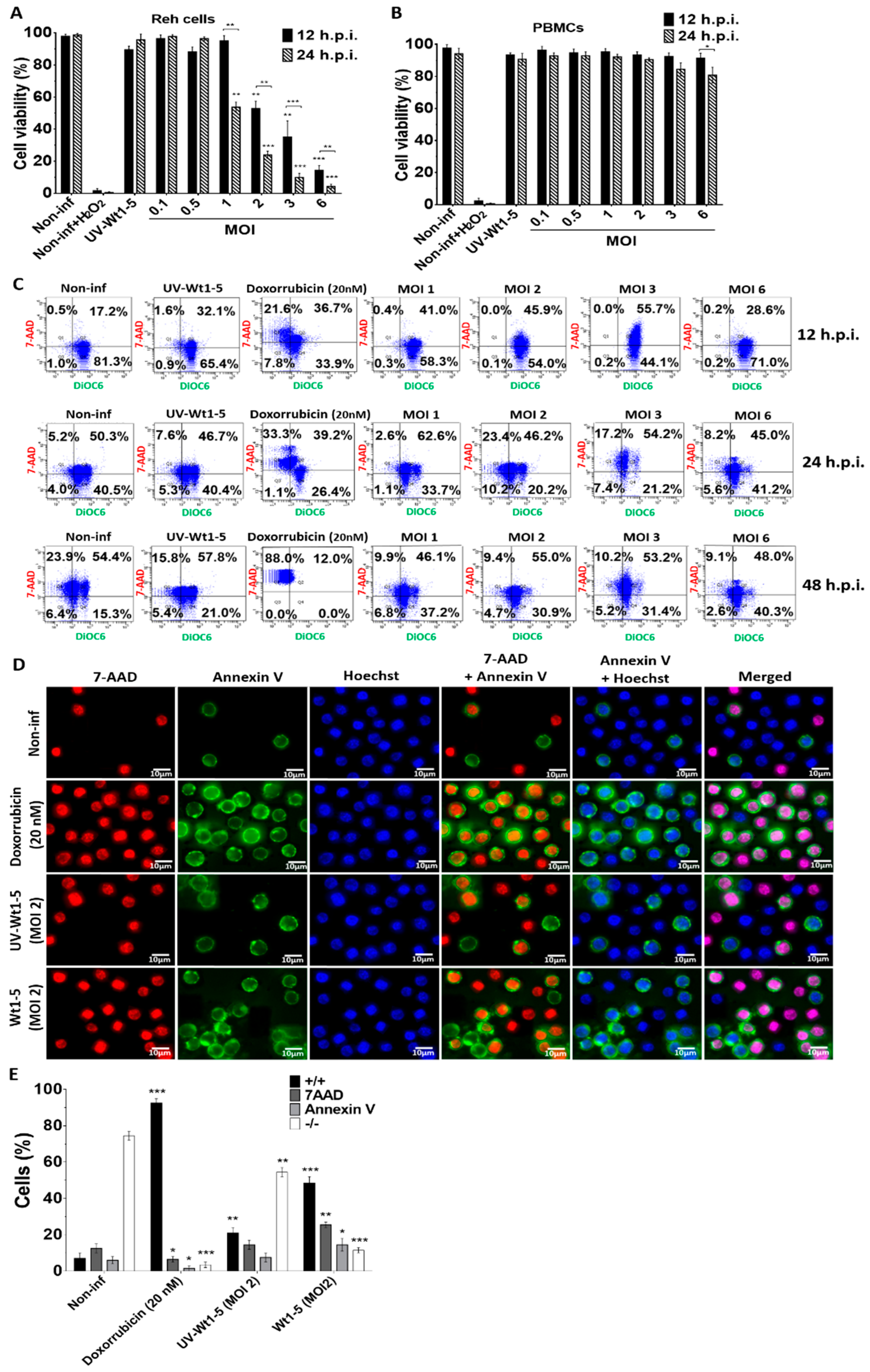 Biomedicines 08 00242 g003