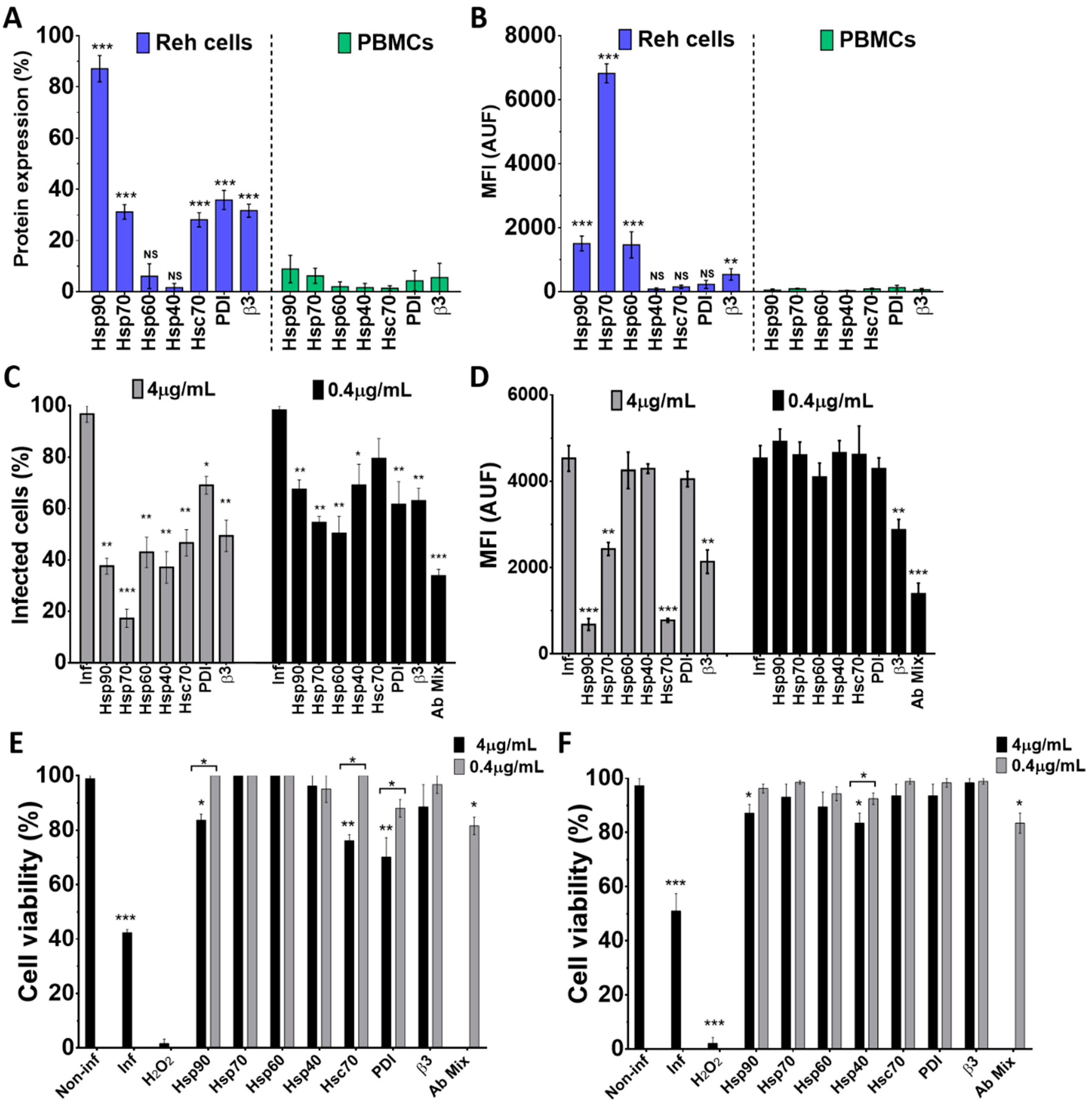 Biomedicines 08 00242 g006