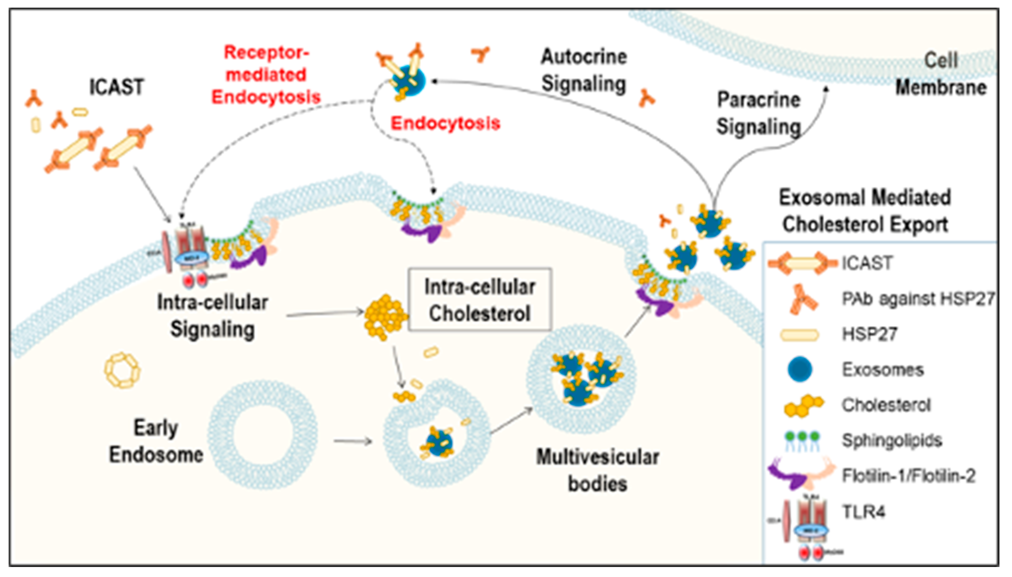 Biomedicines 08 00290 g005