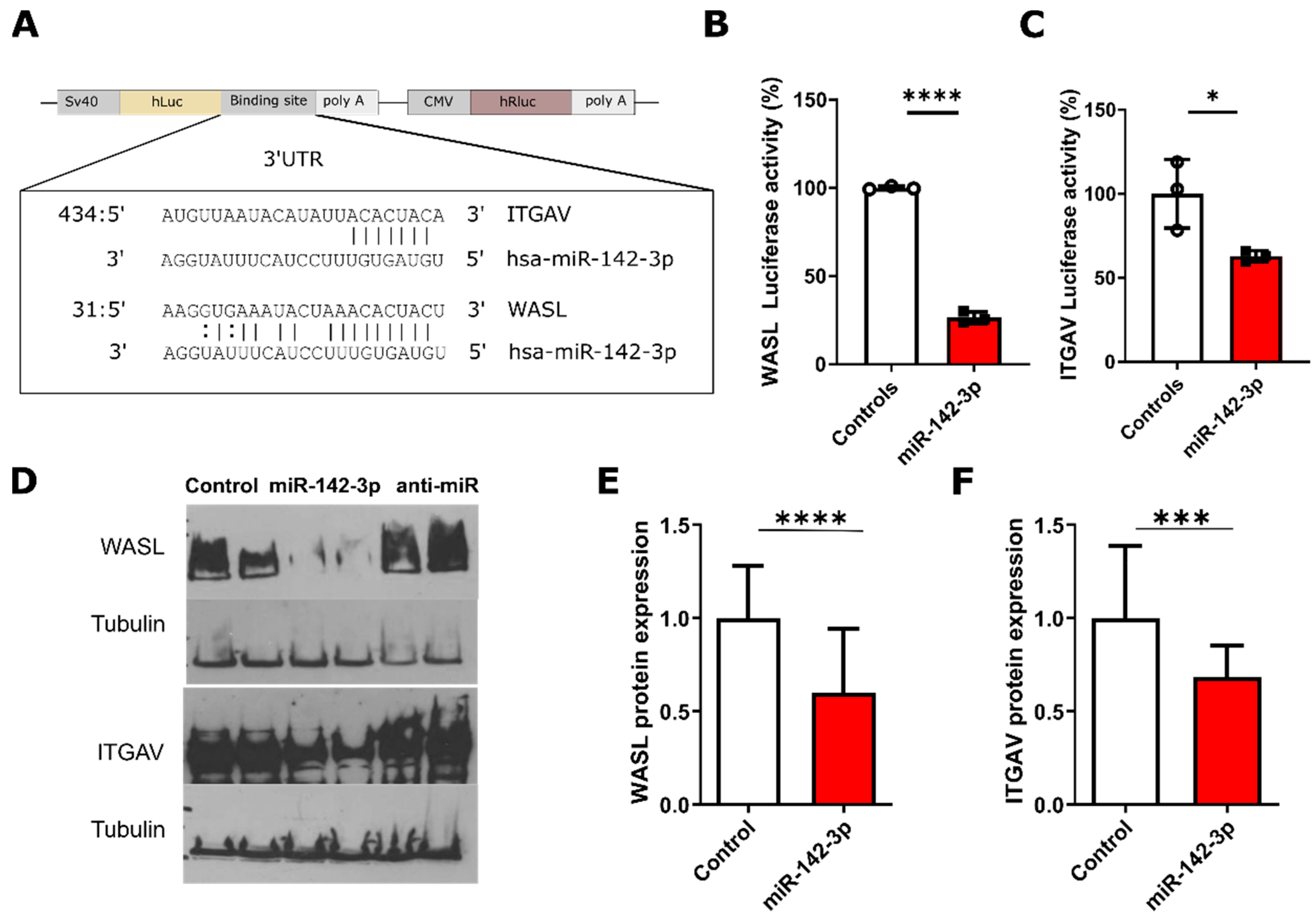 Biomedicines 08 00291 g002