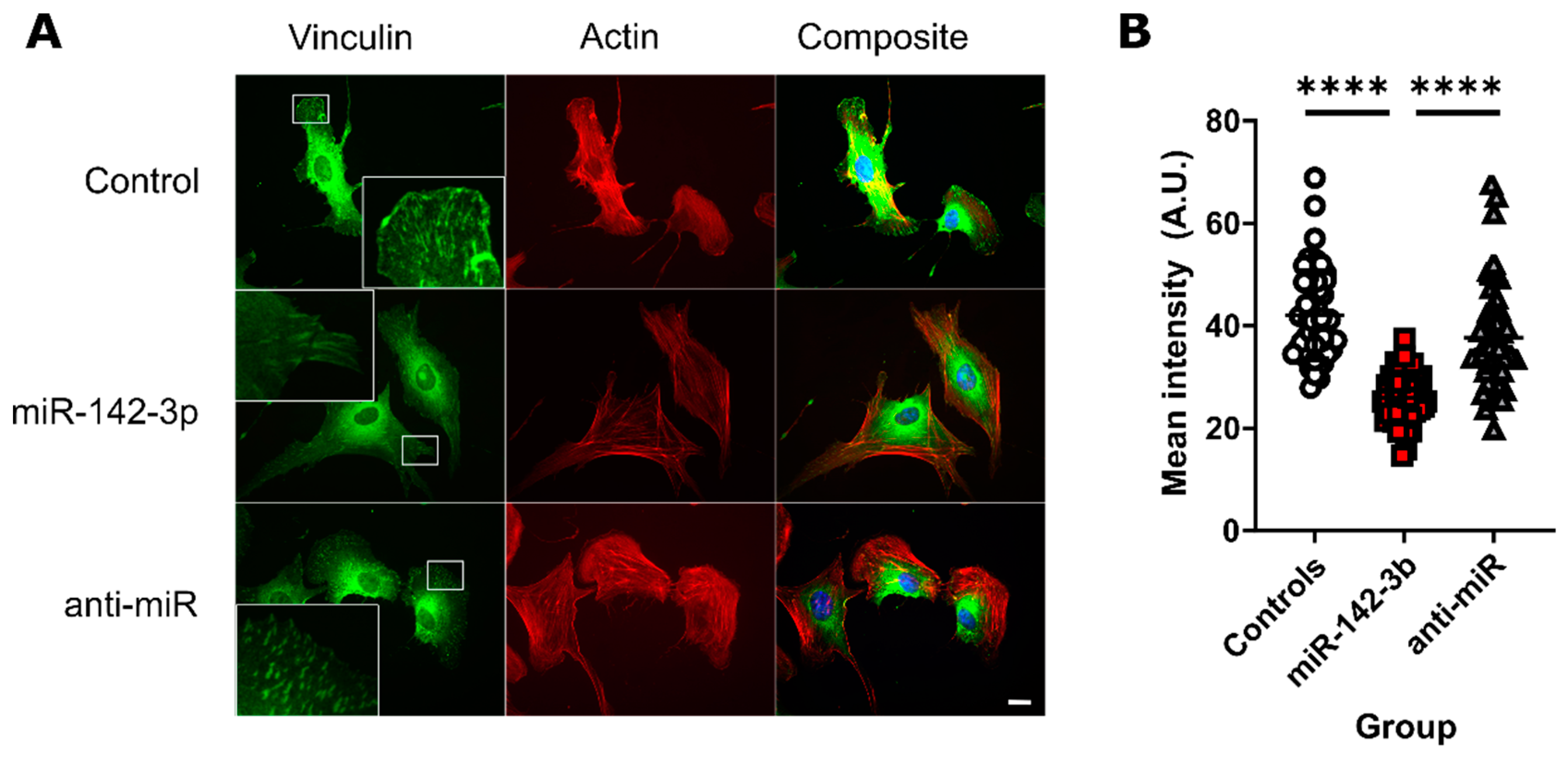 Biomedicines 08 00291 g003