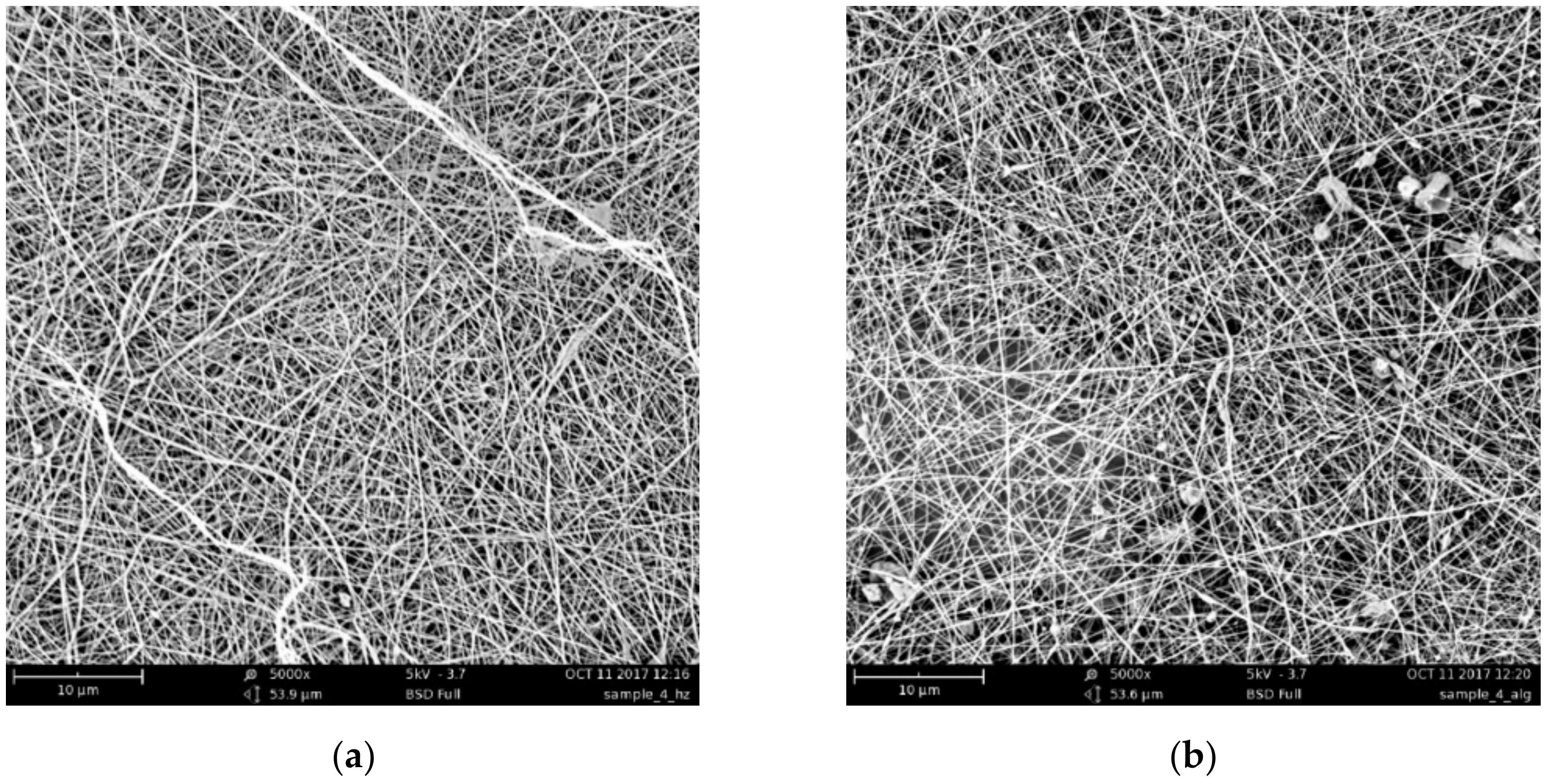 Biomedicines 08 00305 g002 Biomedicines 08 00305 g002