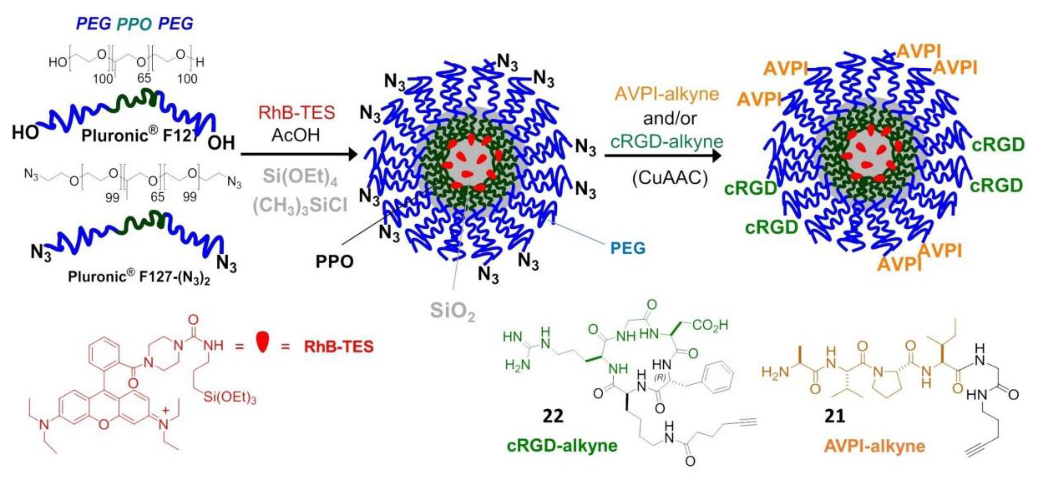 Biomedicines 08 00307 g007