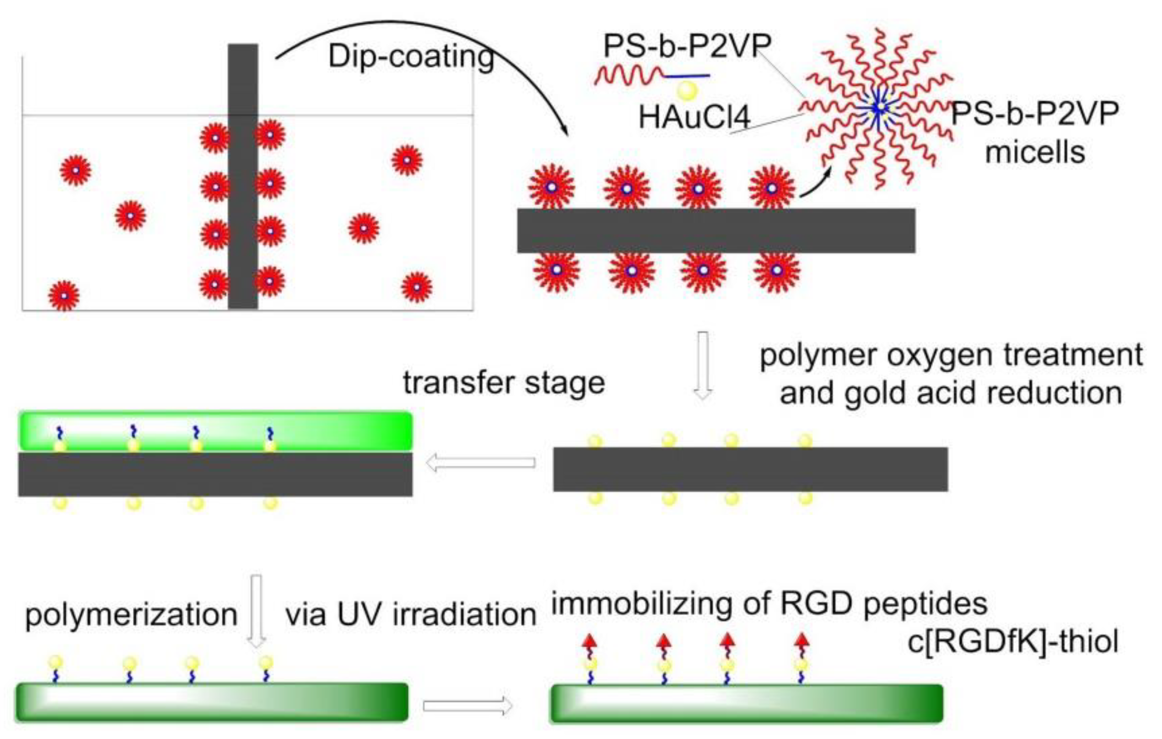 Biomedicines 08 00307 g012