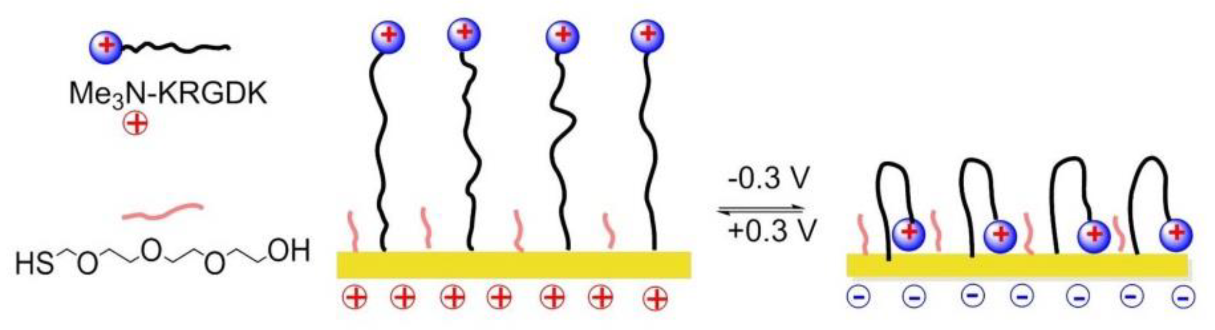 Biomedicines 08 00307 g019