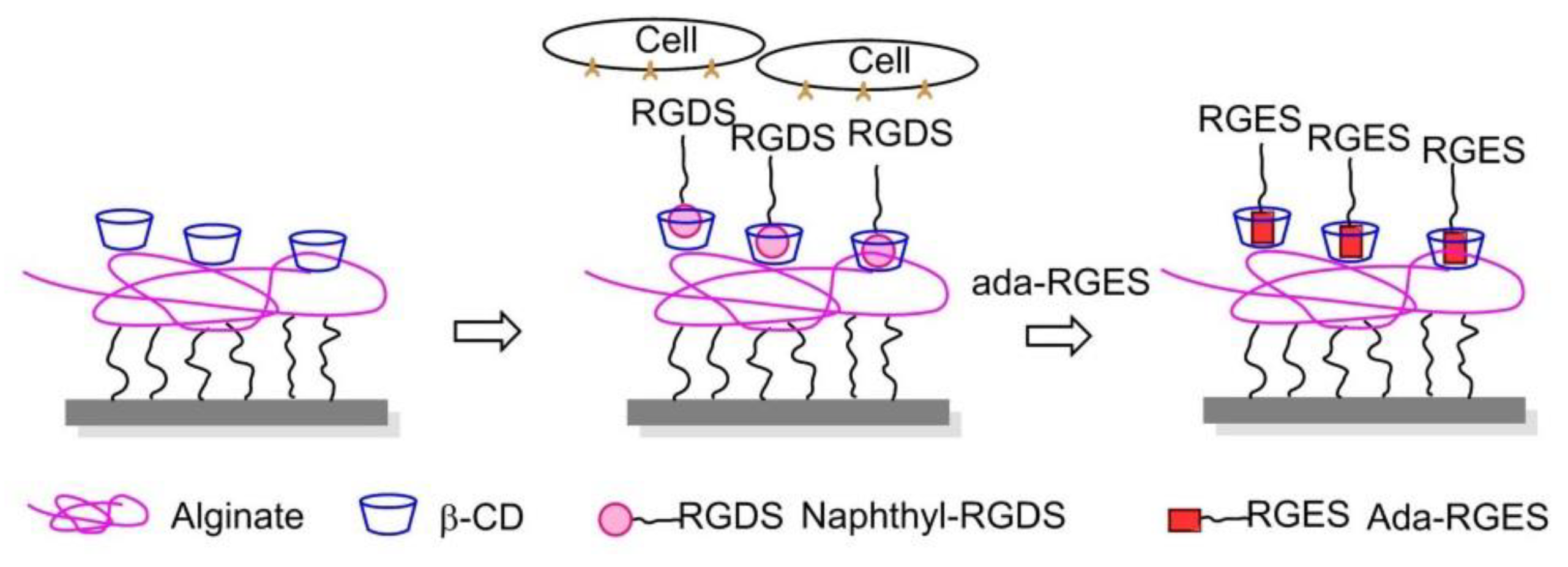 Biomedicines 08 00307 g022