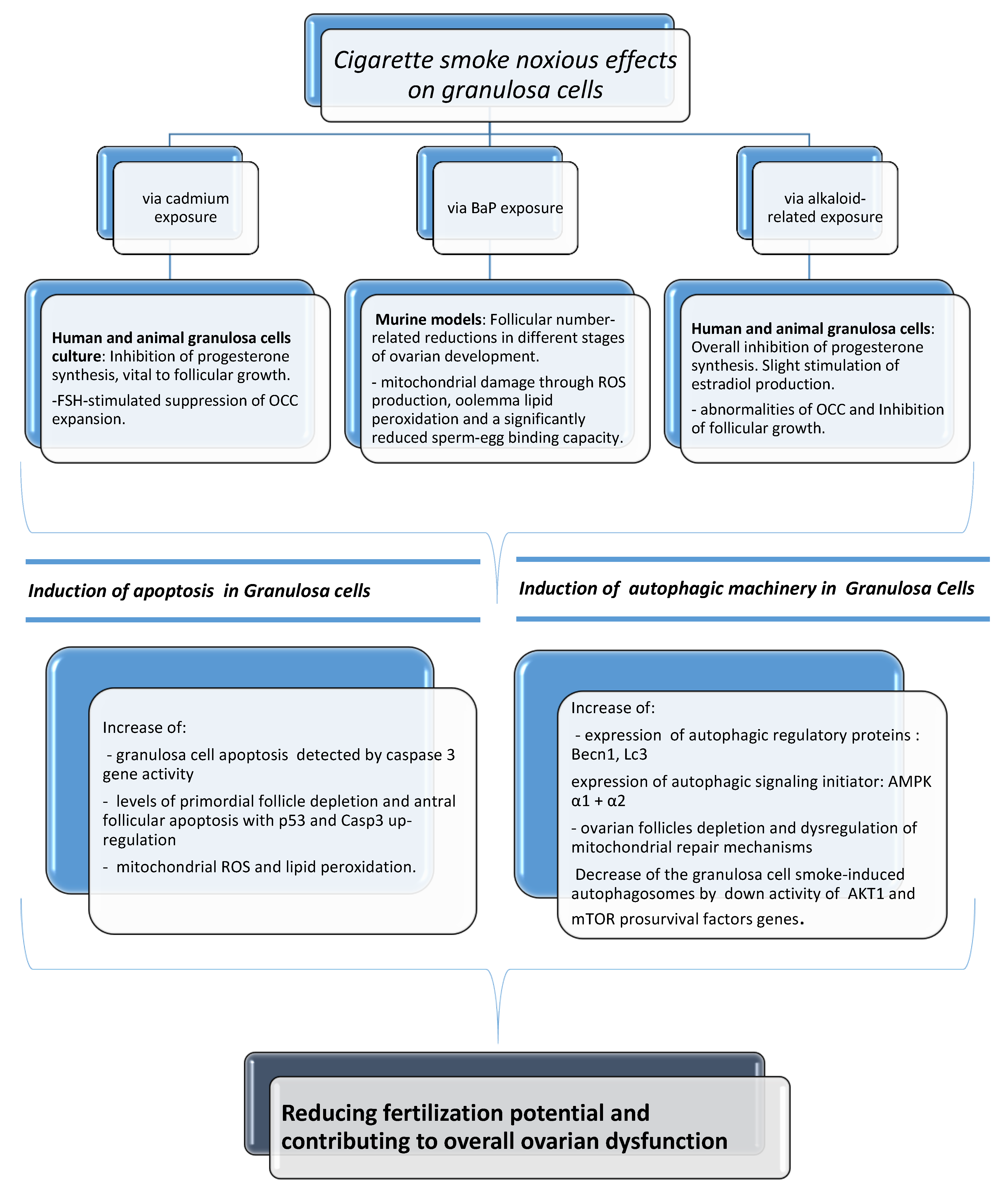 Biomedicines 08 00309 g004