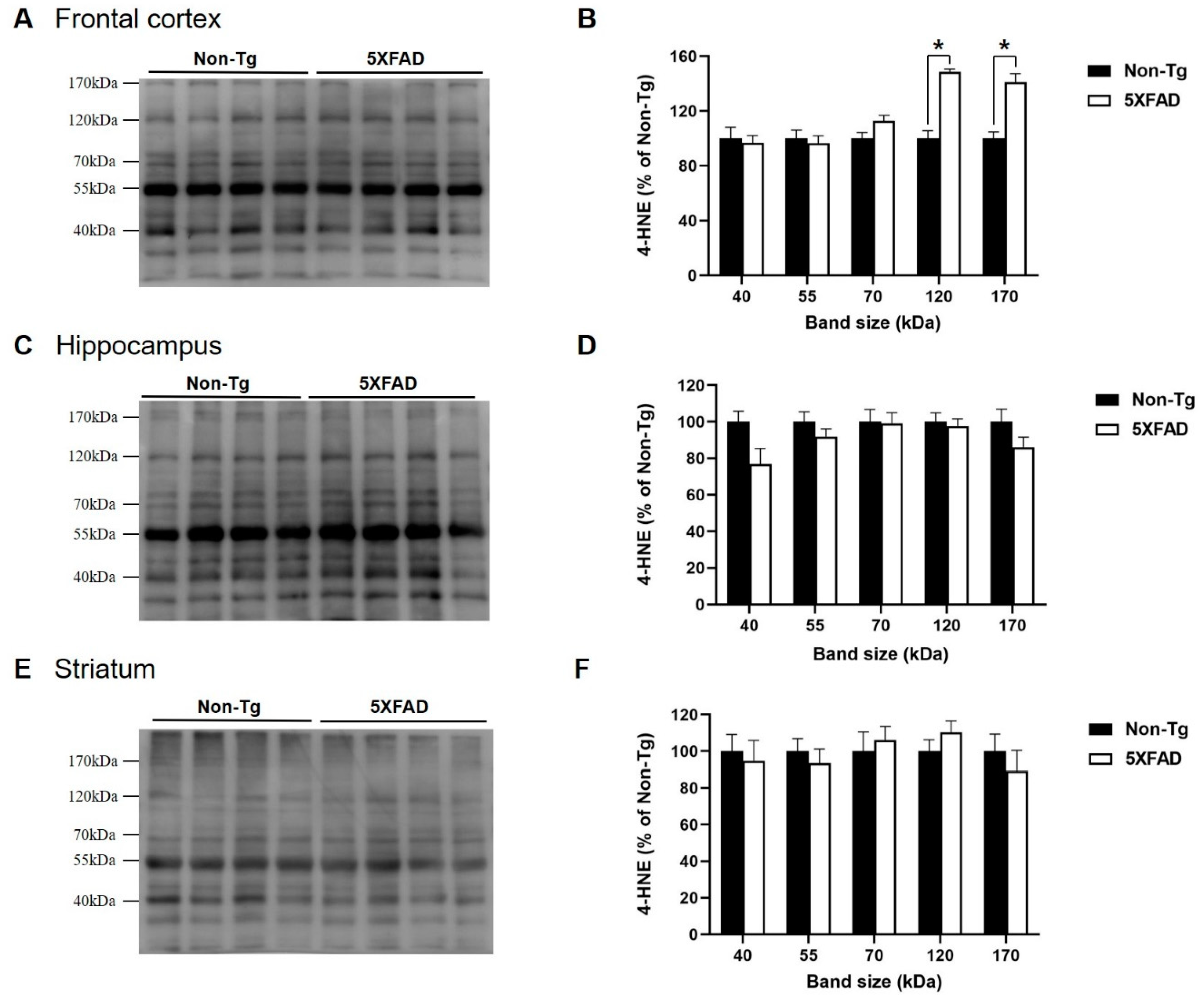 Biomedicines 08 00326 g002 Biomedicines 08 00326 g002