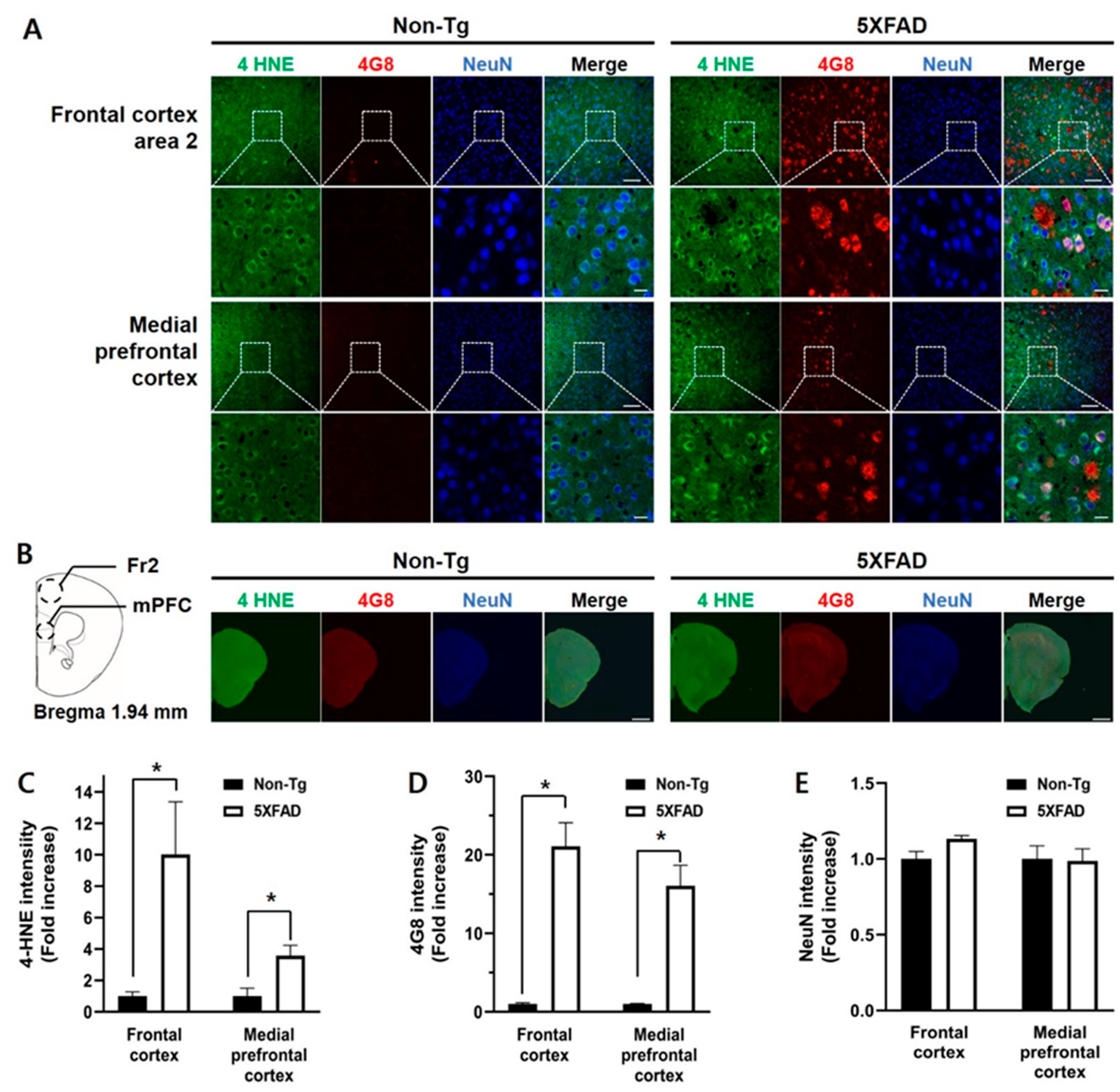Biomedicines 08 00326 g003 Biomedicines 08 00326 g003