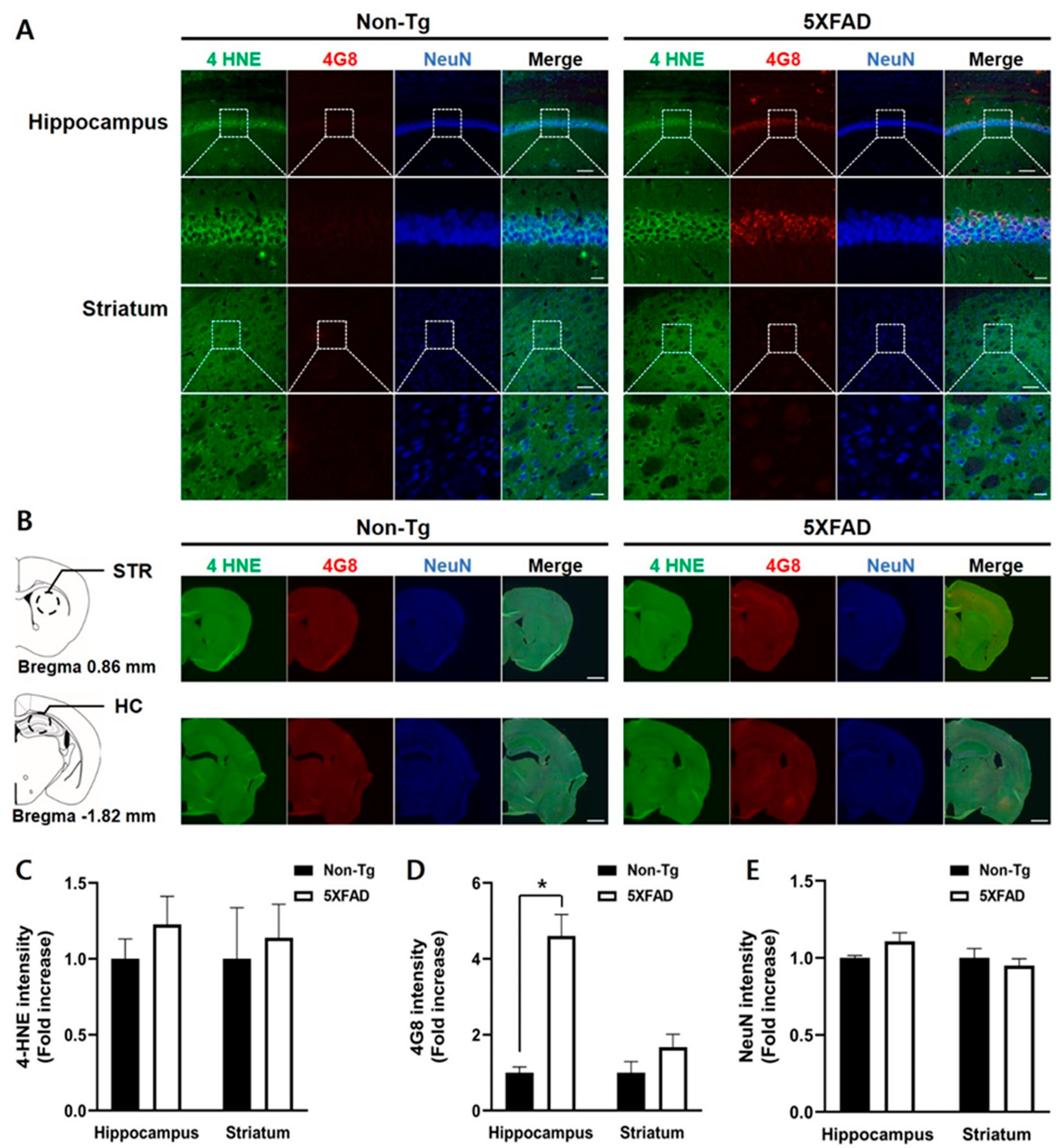 Biomedicines 08 00326 g004 Biomedicines 08 00326 g004