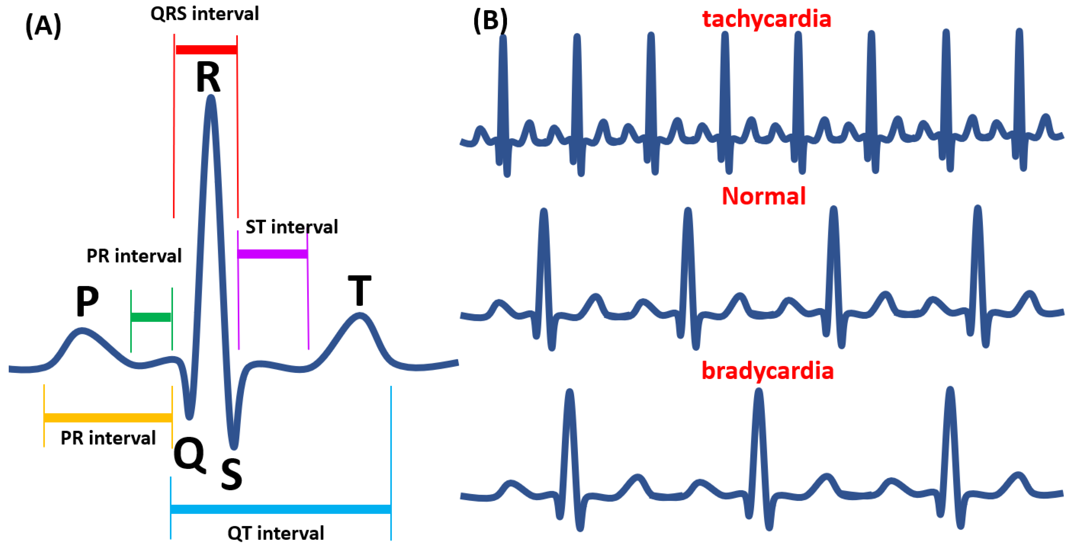 Biomedicines 08 00329 g002