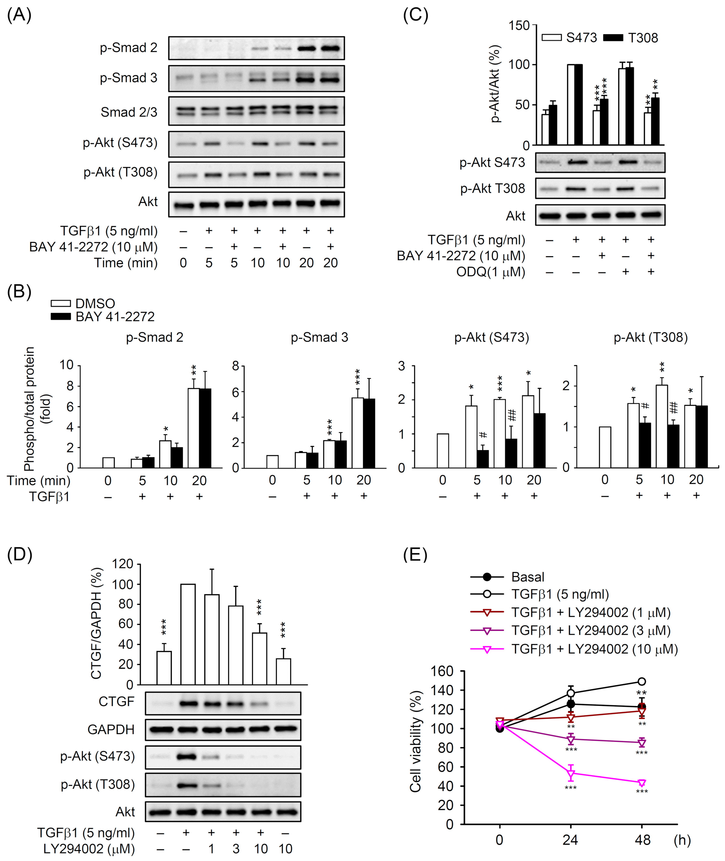 Biomedicines 08 00330 g008