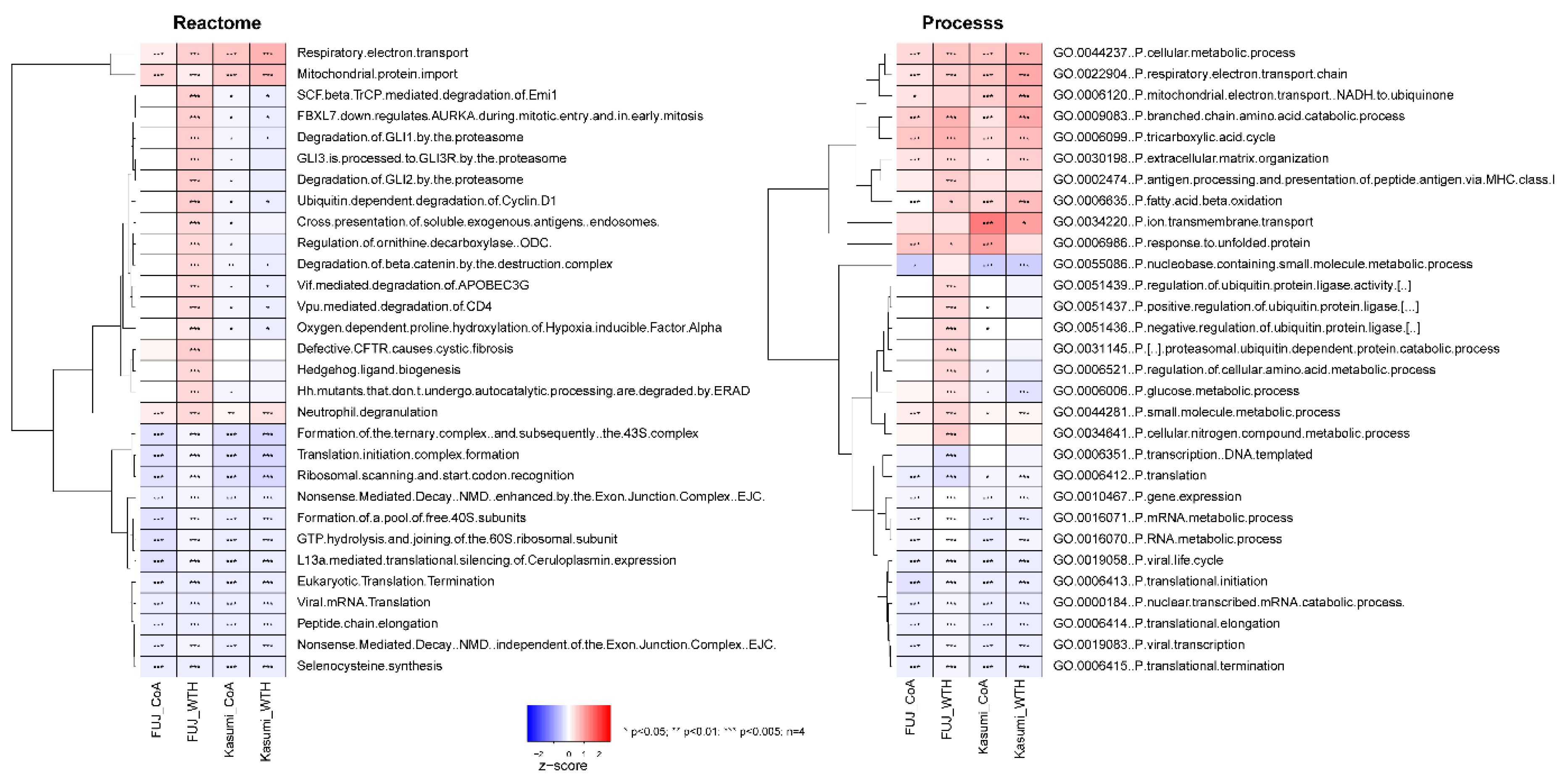 Biomedicines 08 00333 g003