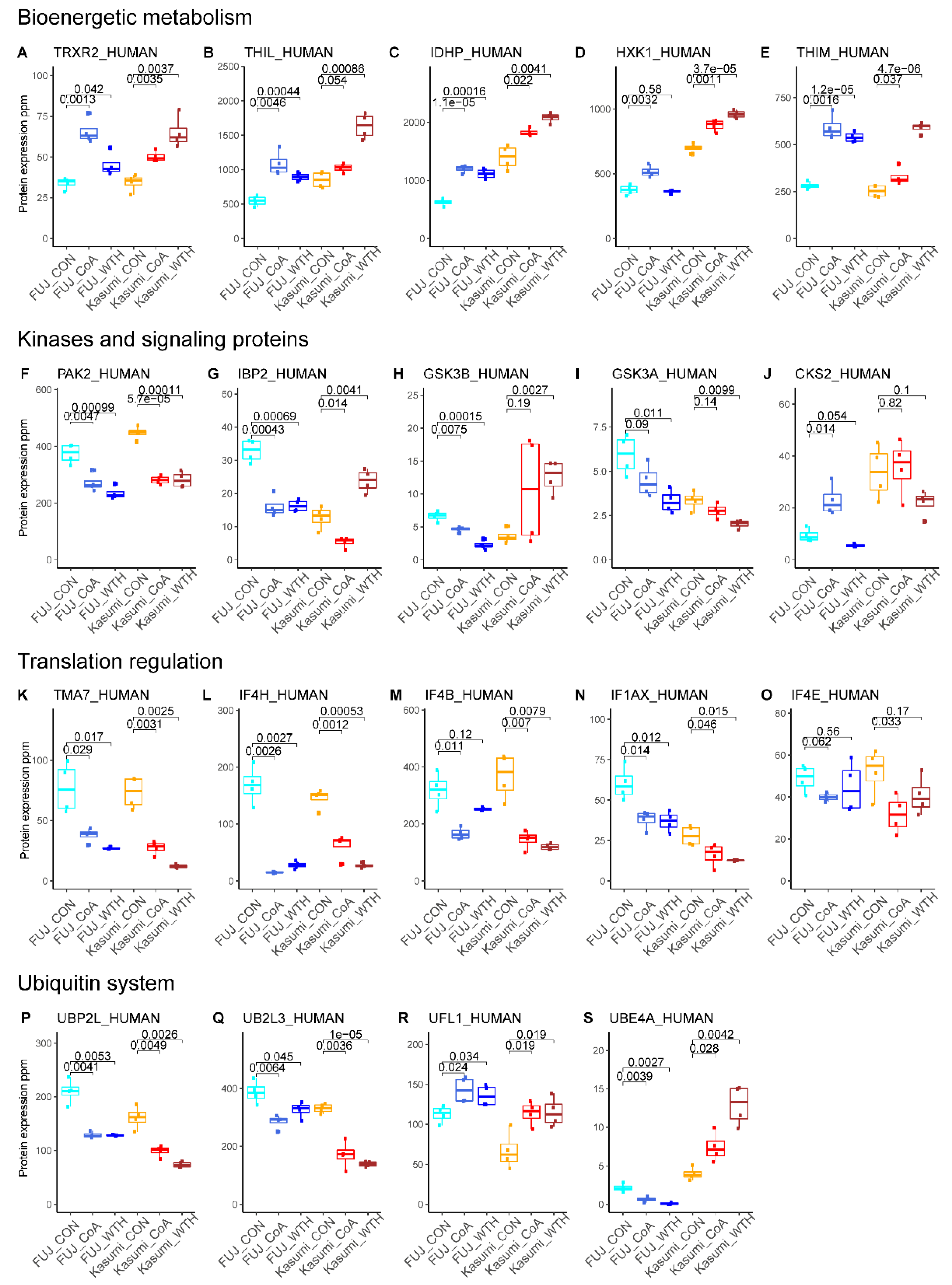 Biomedicines 08 00333 g004