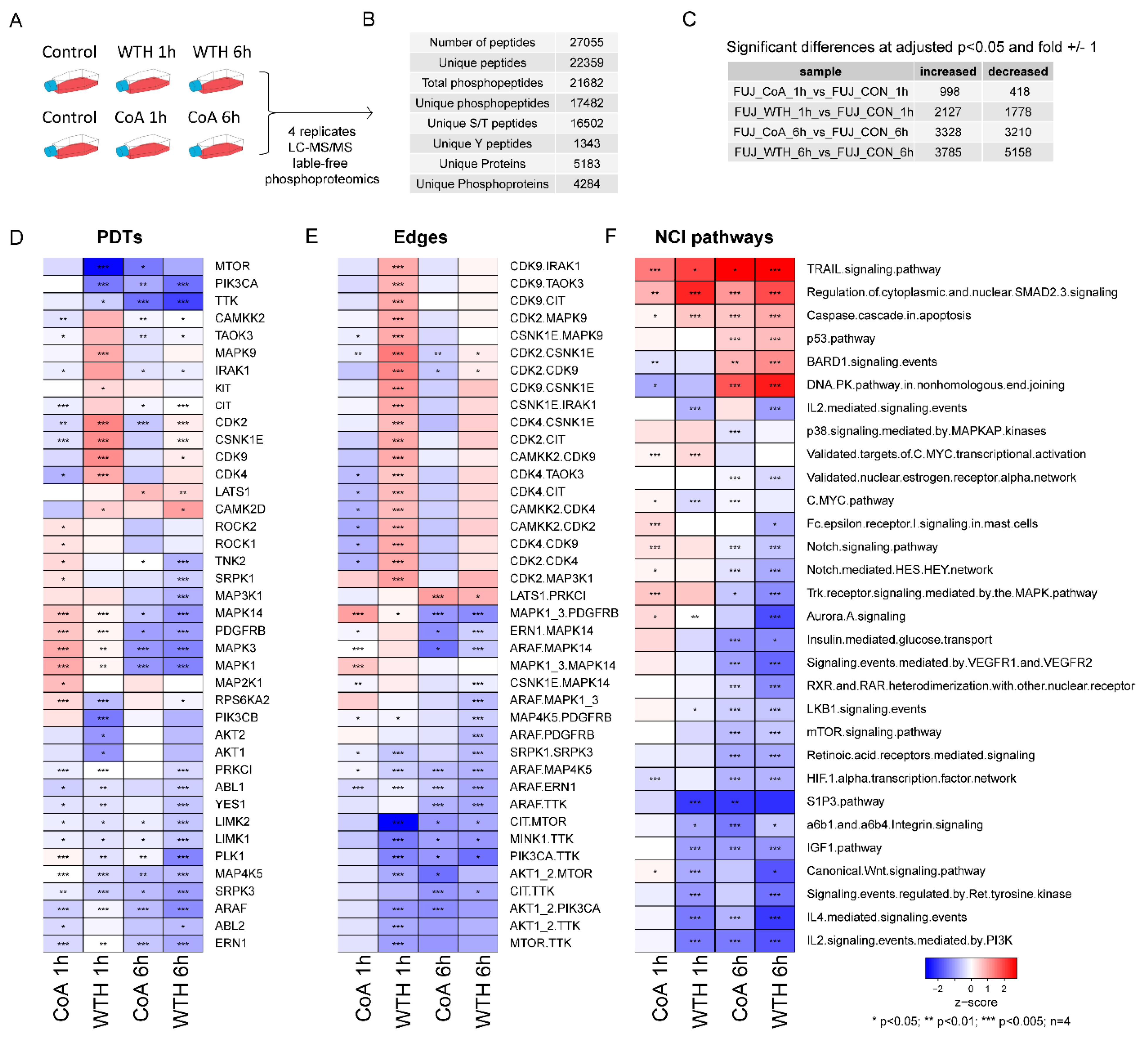 Biomedicines 08 00333 g005